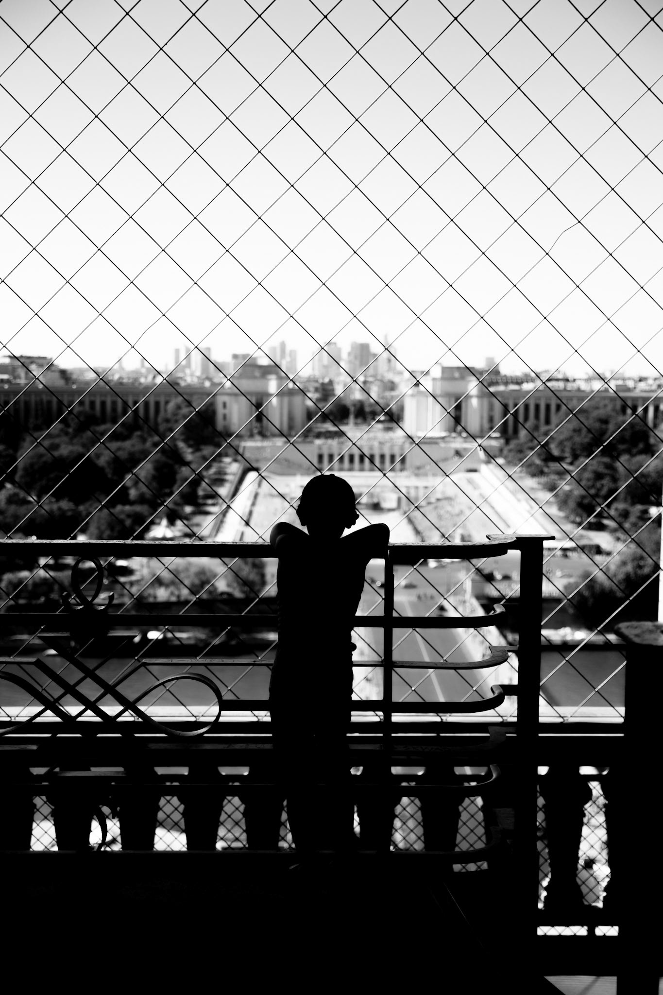 Enjoying the view