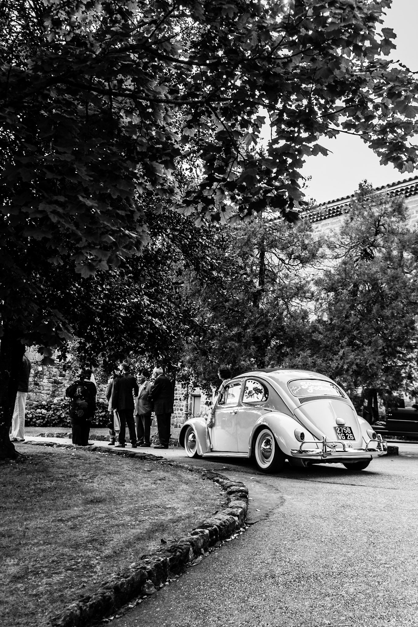 Coccinelle