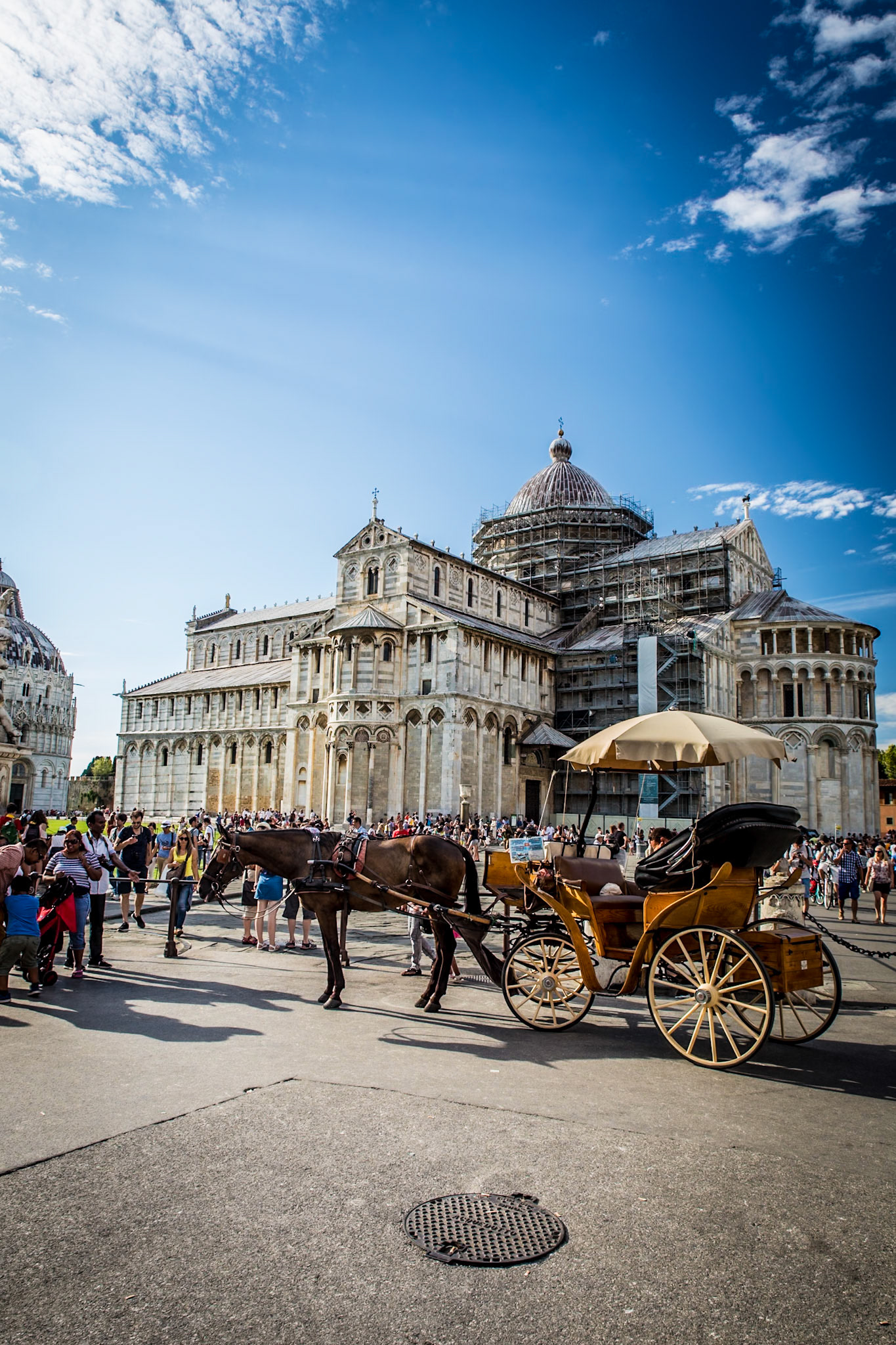 Horse in front of Pisa Cattedrale