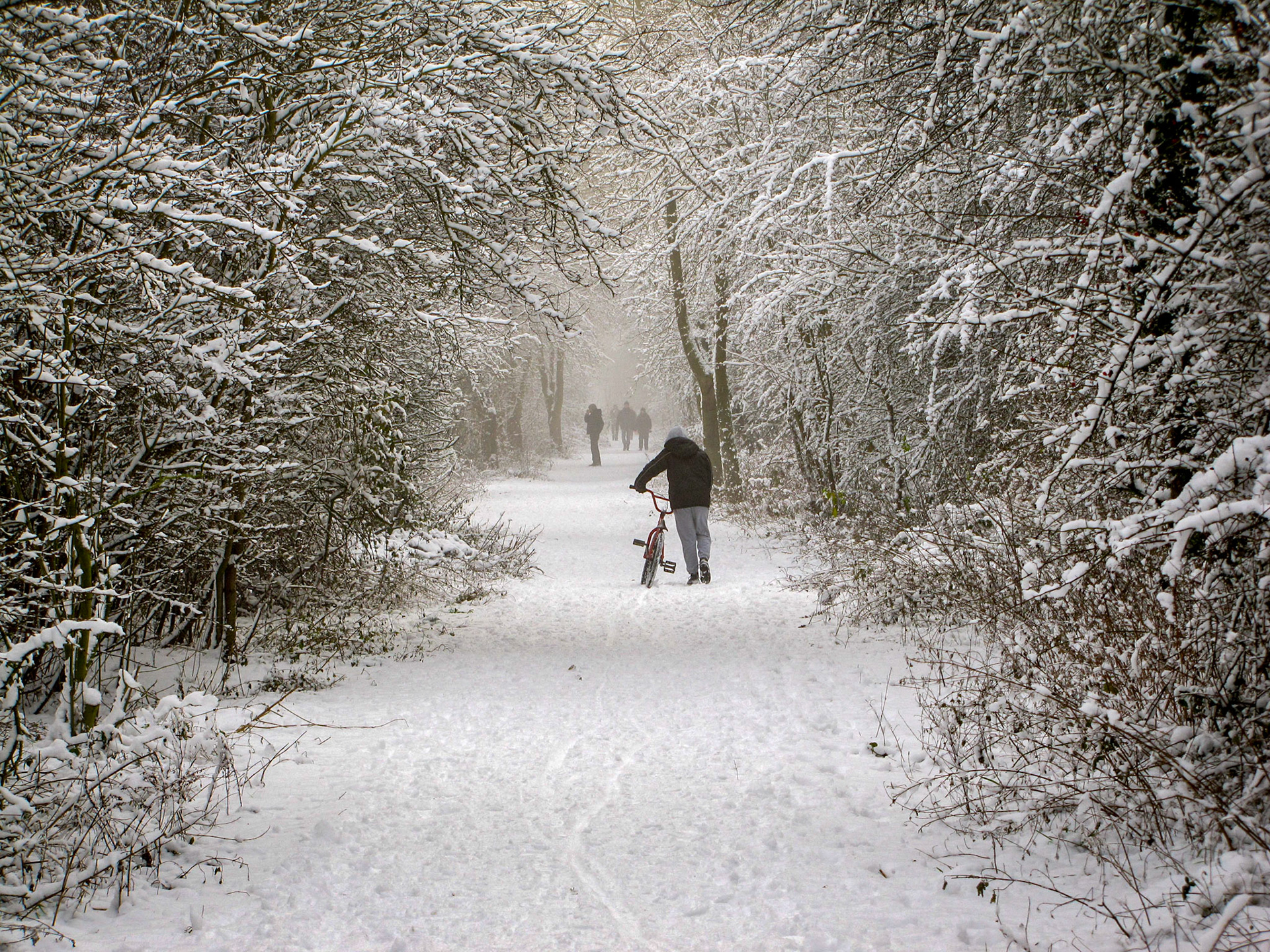 Linear Way, Nottinghamshire