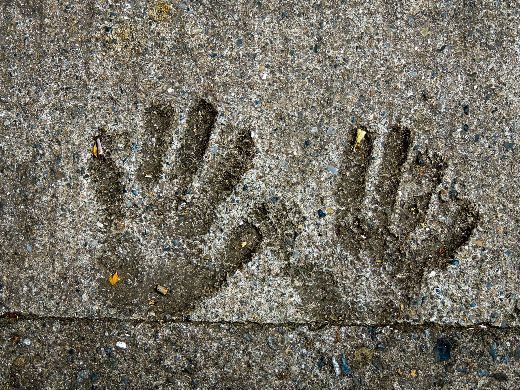 Handprints