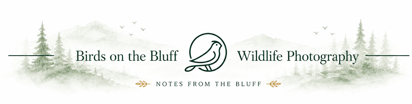 Birds on the Bluff