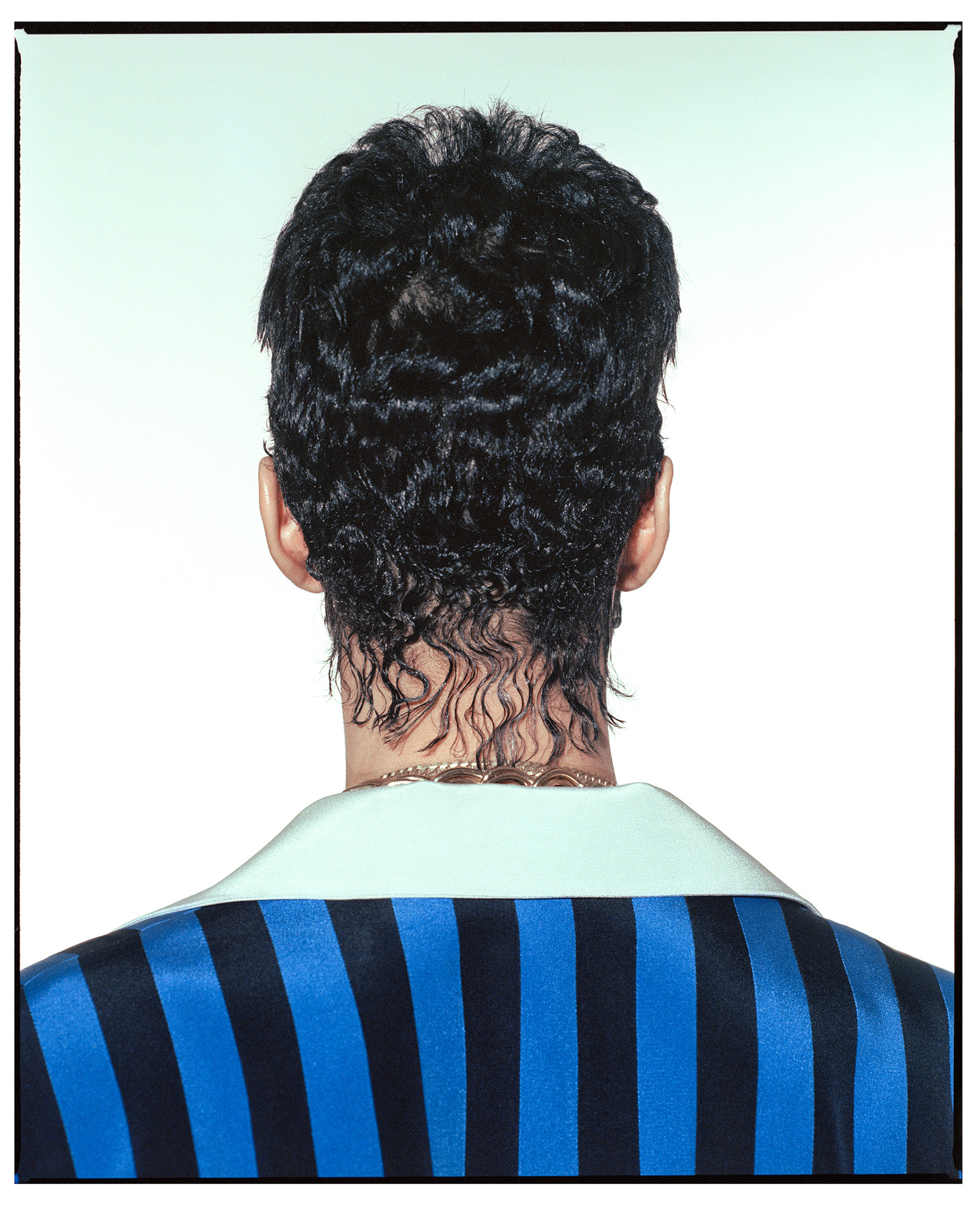 PRINCE_Rear Portrait