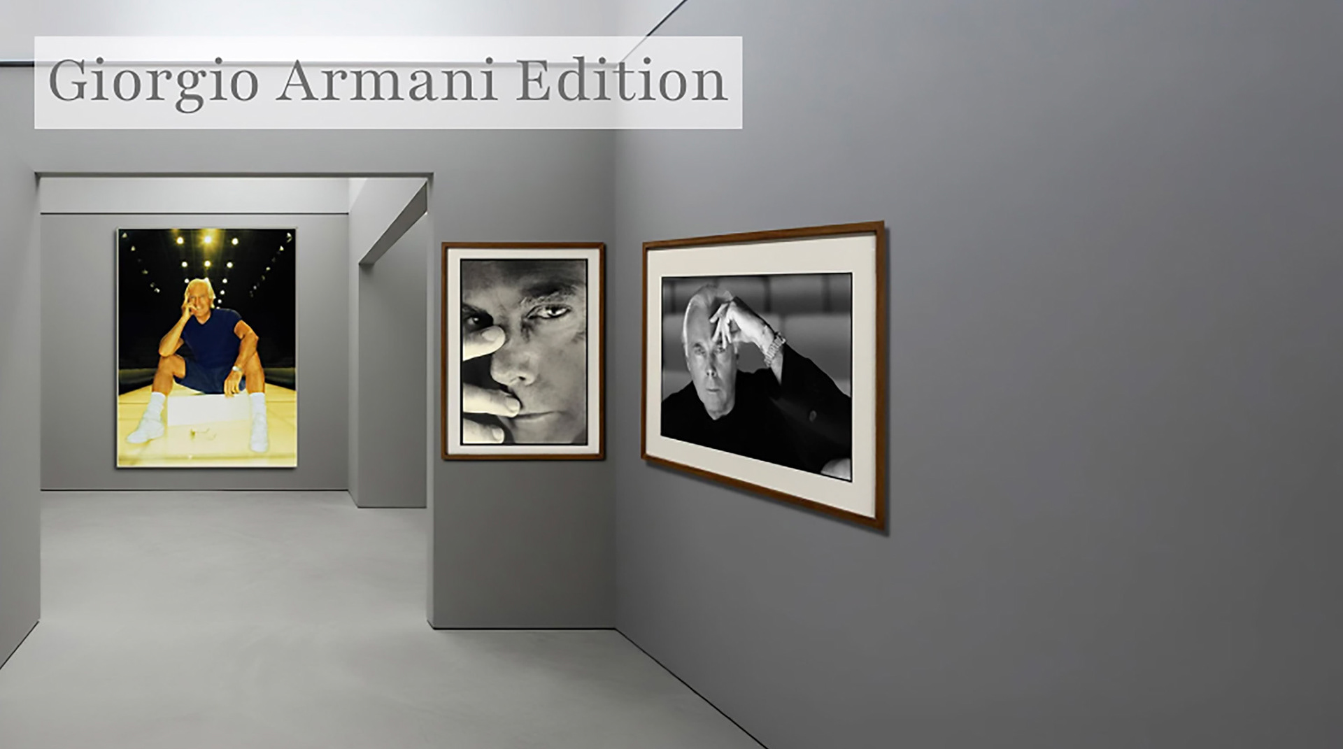 Link to Alfred Steffen Webshop 