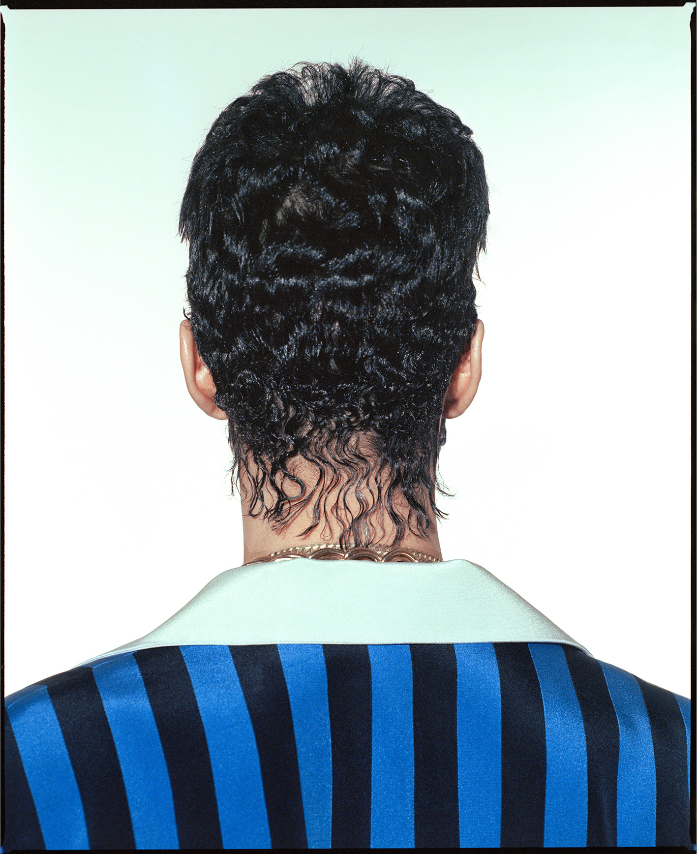 PRINCE_Rear Portrait