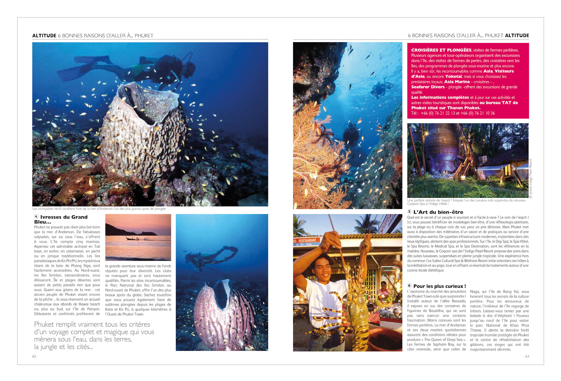 Altitude 43 Portfolio.indd