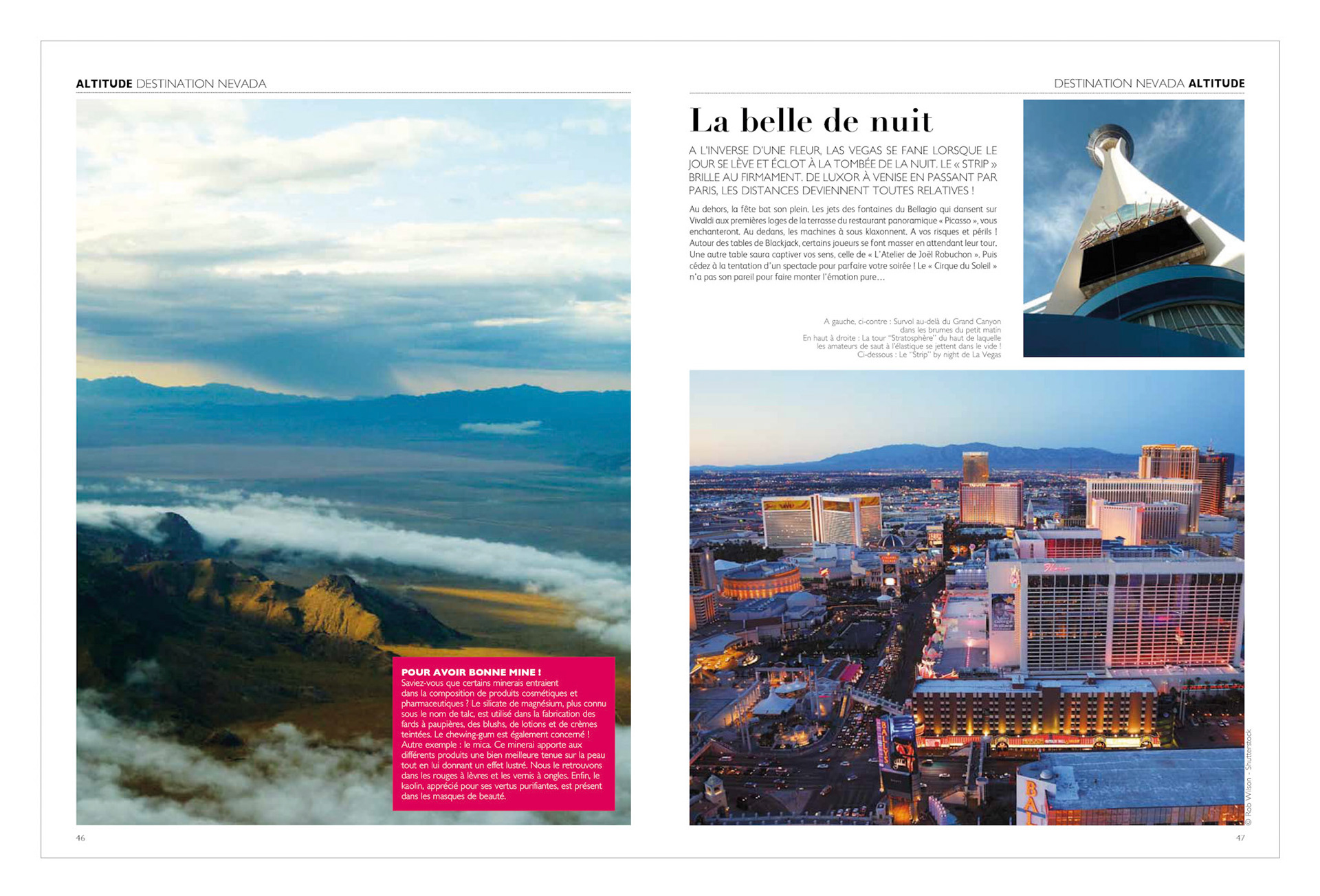 Altitude 43 Portfolio.indd