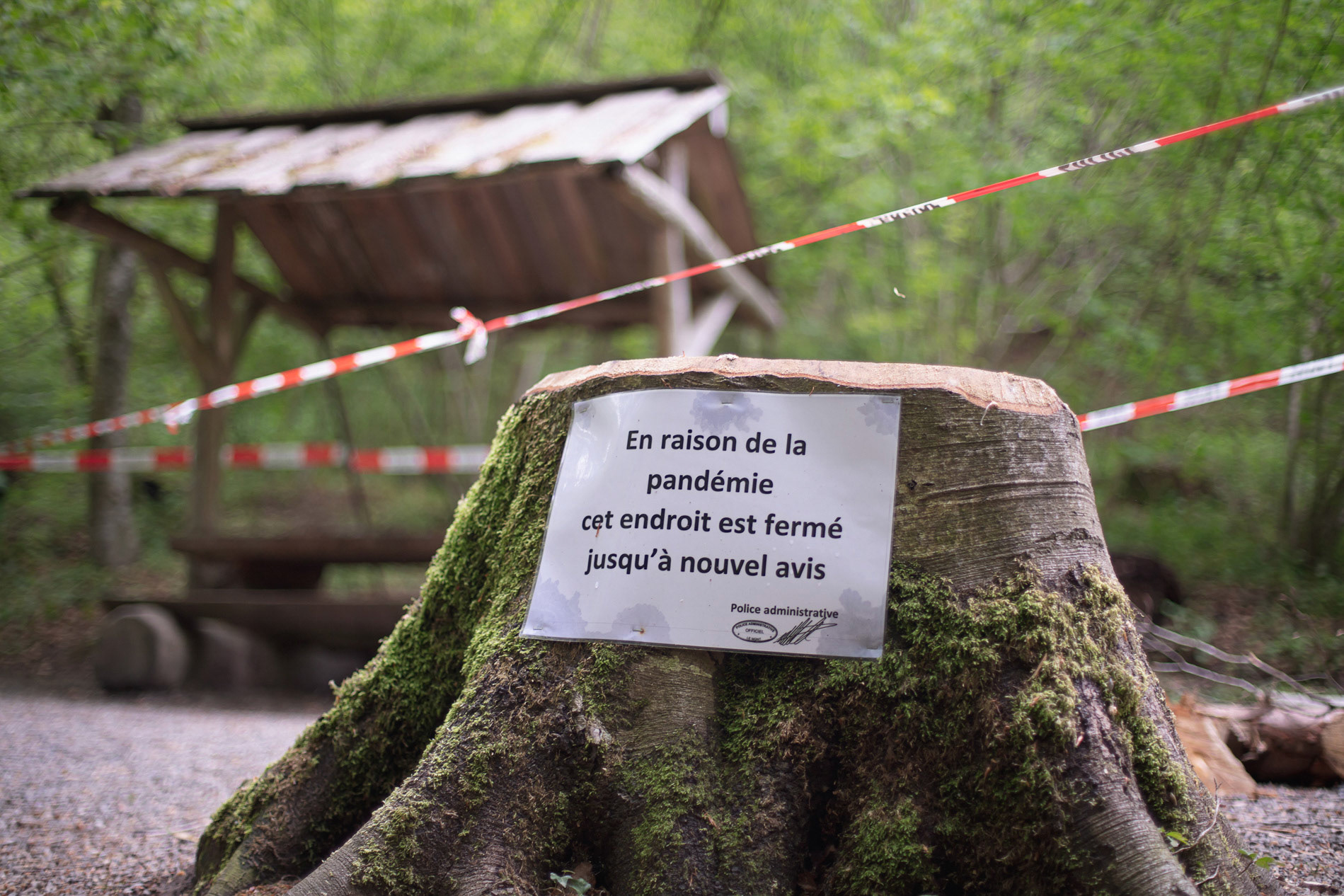 3 mai