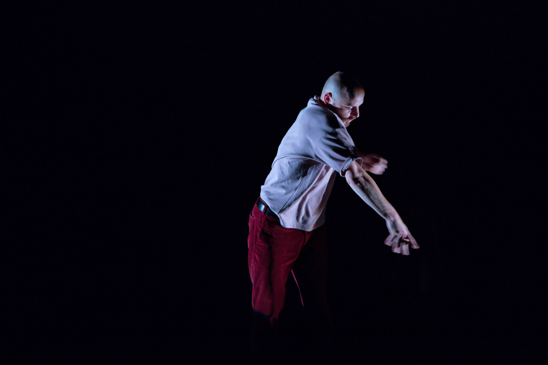 Haïku(s) - l’esquisse d’une pensée bègue