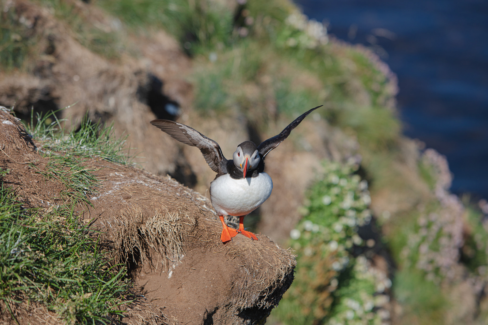 Borgarfjörður Eystri