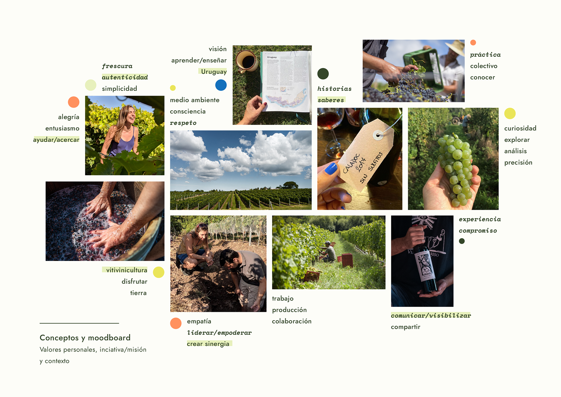 Visual identity — Moodboard
