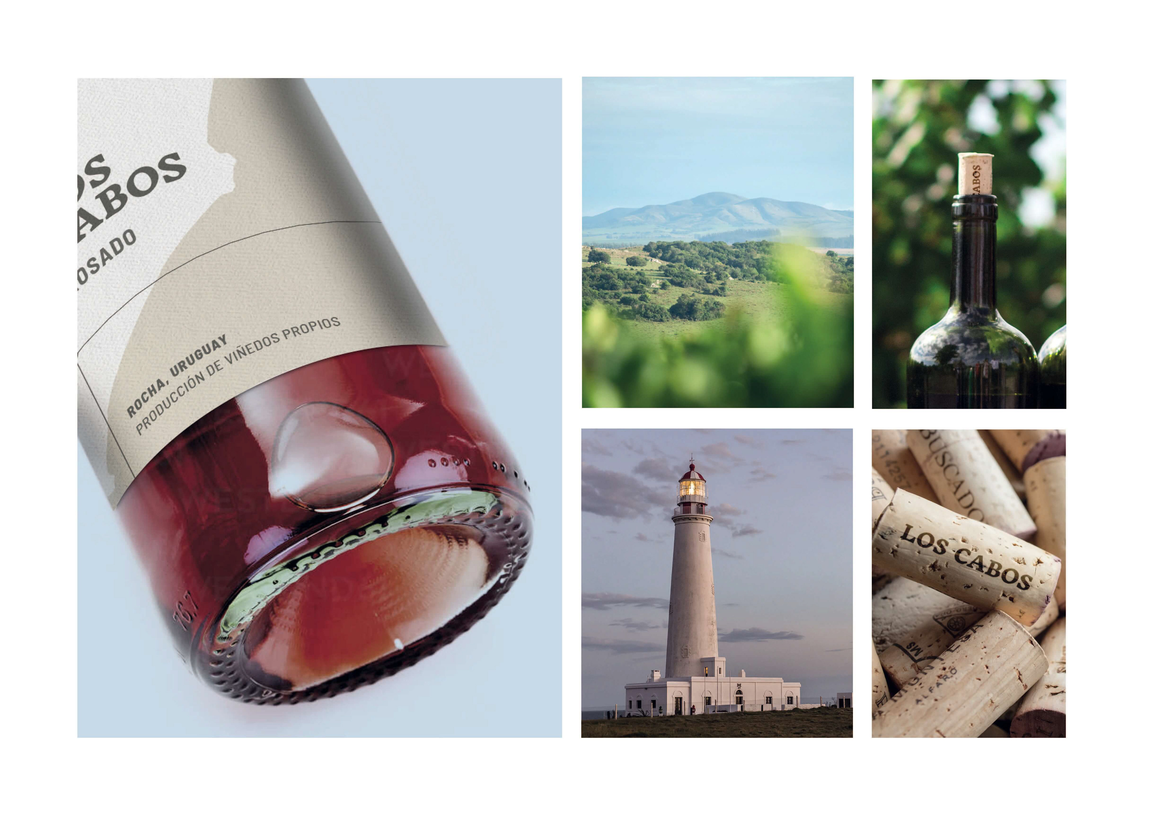 Design and inspiration