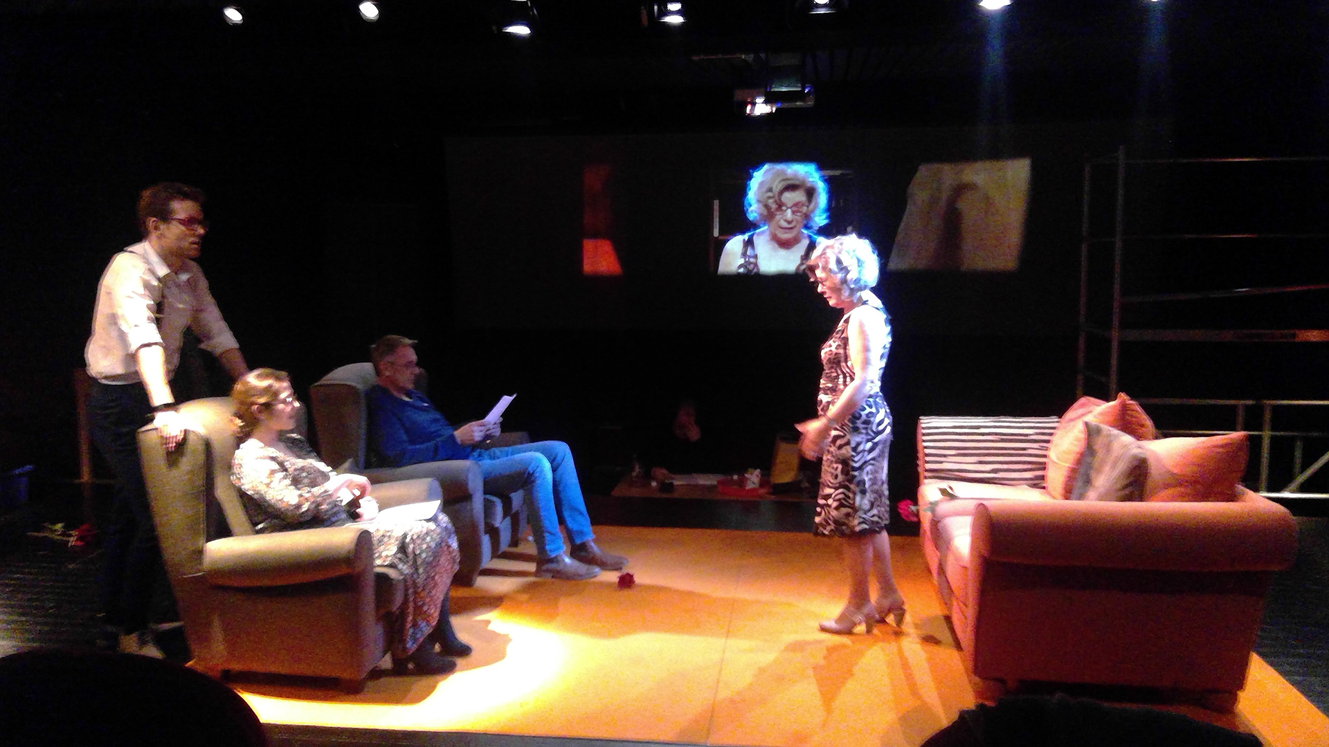 "Who's afraid of Viriginia Woolf", drama