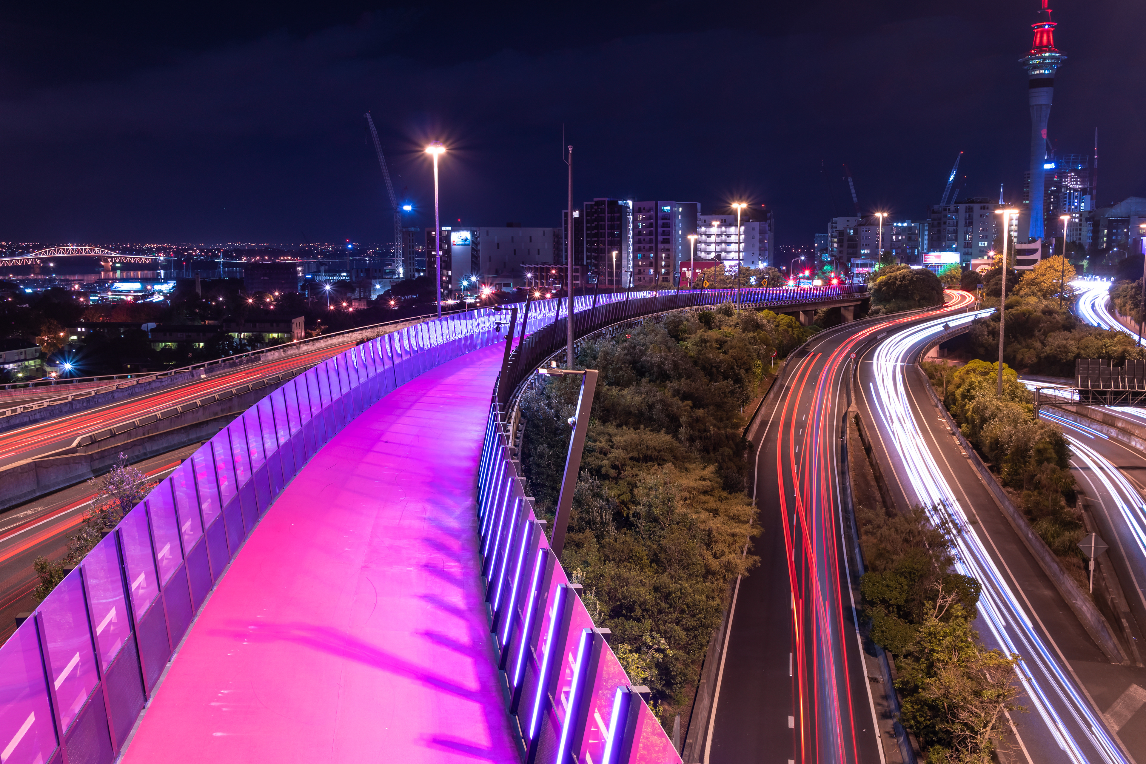 Path to the Tower, Auckland