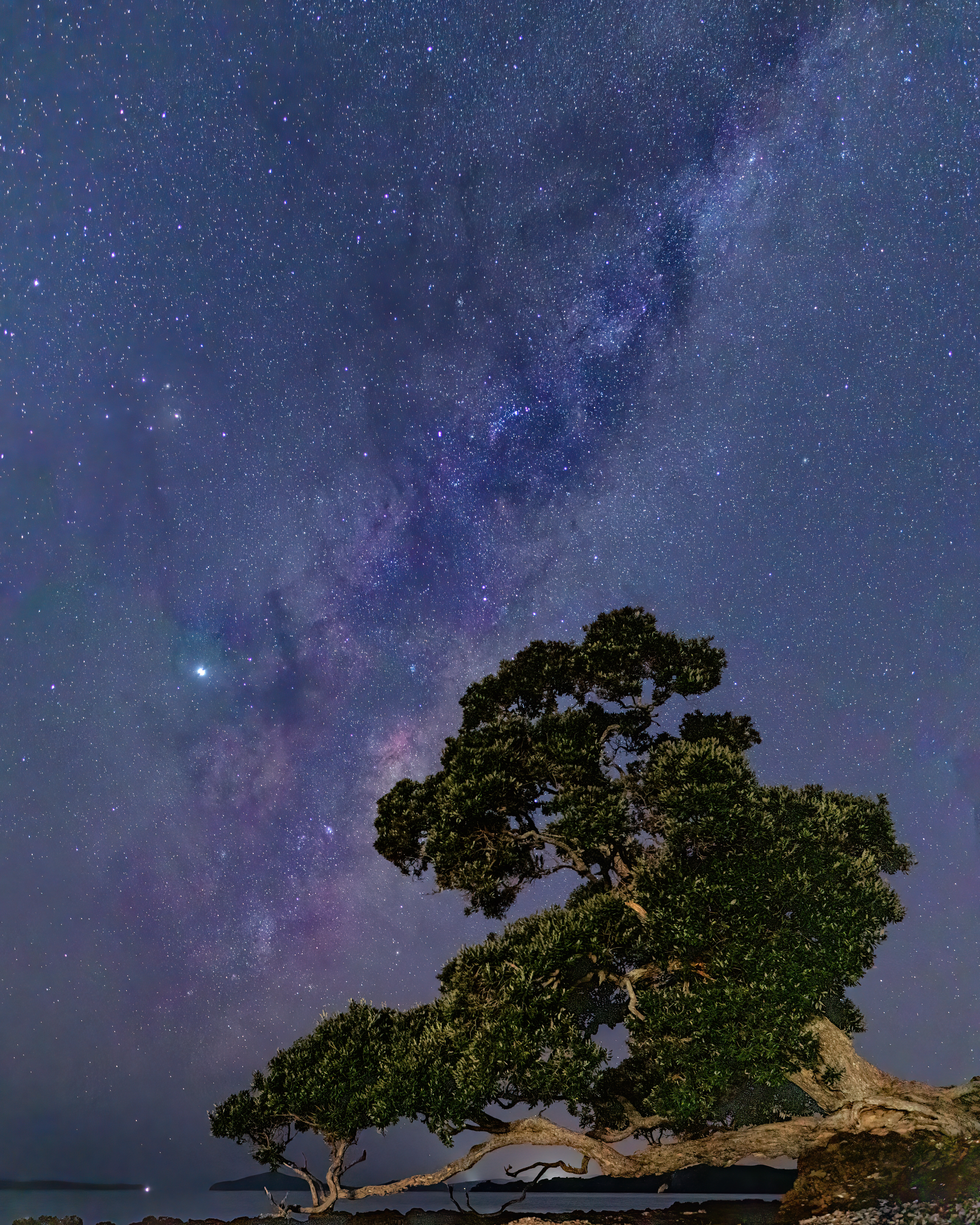 Lone Tree, Magazine Bay