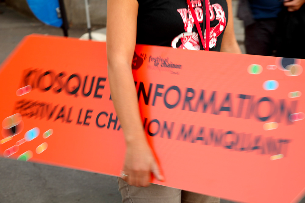 LE CHAÎNON MANQUANT