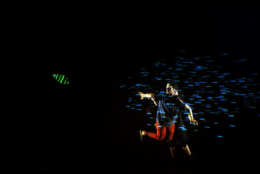 Les Inouis -REPETITIONS ET REPRESENTATIONS
