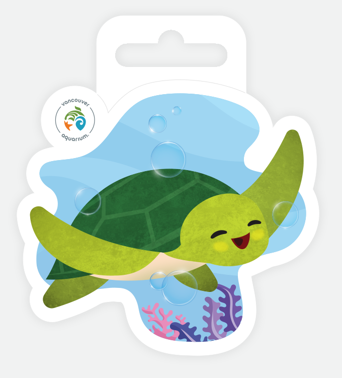 sea turtle