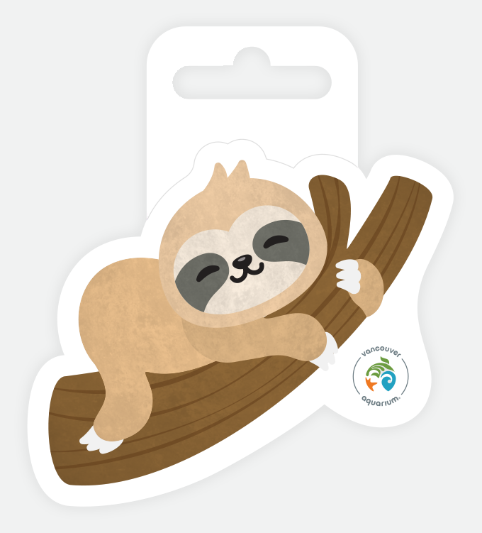 sloth