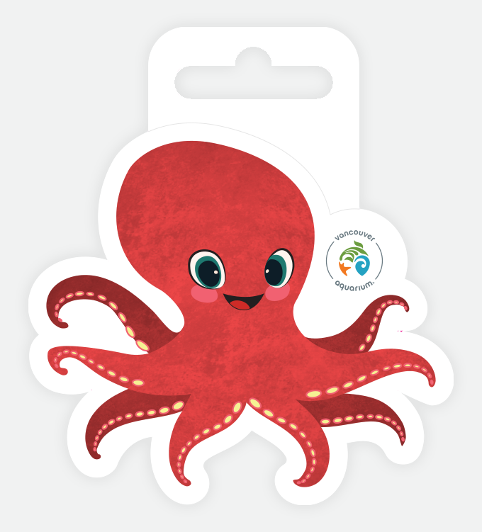 octopus