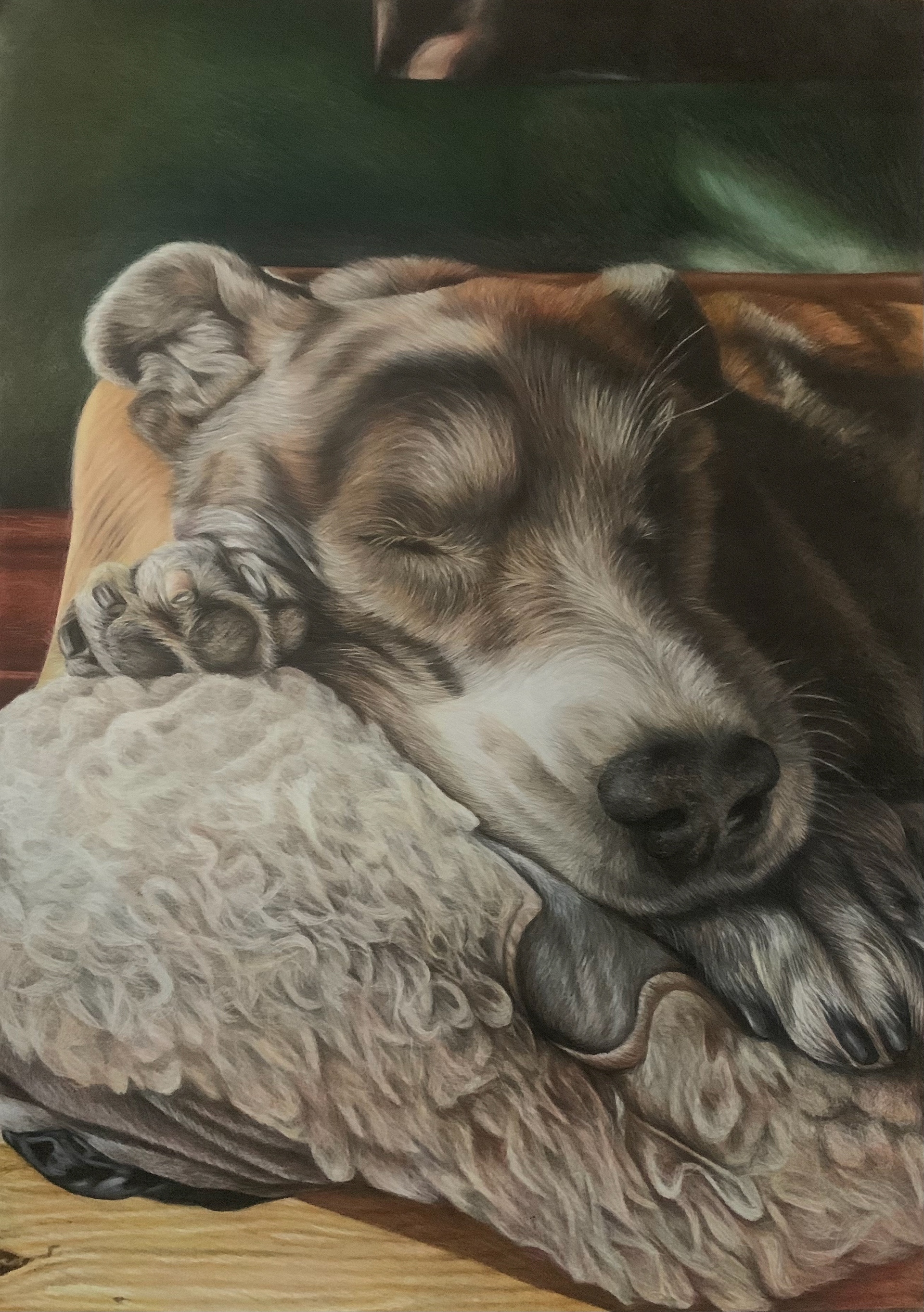 “The Afternoon Nap” Elizabeth de Broise, Colour Pencil, 2026 “My practice is fuelled by a lifelong love of both dogs and drawing, and I am particularly interested in exploring the unique nature of our relationship with dogs and the varied roles they play in society. The Afternoon Nap is one of several drawings in my Sleeping Dogs Collection, which demonstrates how integrated dogs are in our homes and the level of trust and reliance they have on humans, through portraying them comfortably at their most vulnerable.  The piece, like most of my work, was drawn in colour pencil to allow for the most precision and detail. I enjoy pushing this medium to it’s limits; creating large scale painting style artworks with a material that is most often confined to sketches, small pieces or preparatory works. Whilst my style is realistic, my method is more abstracted; the piece was created by drawing a grid of squares on the paper and fully rendering one square at a time; effectively making small abstract drawings that come together to gradually form a representational whole.” Website: www.elizabethdebroise.com / Instagram: @artbyelizabethdebroise