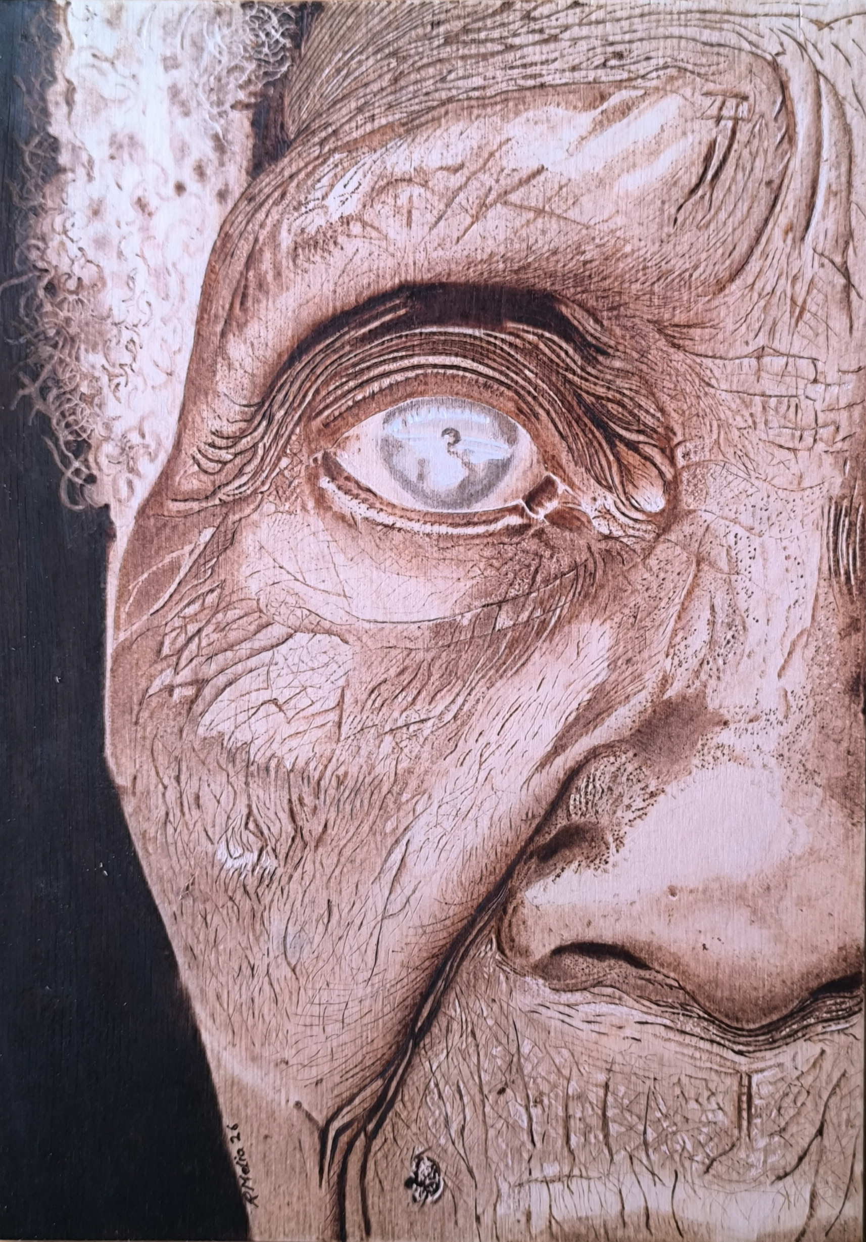 “Veil on the grain” Robert Melia, Pyrography on 3mm Birch plywood with mixed media, 2026 “Veil on the grain is part of a body of work of age and wisdom. It celebrates the textures we gain as we get older, and like the rings of a tree, our bodies produce wrinkles and weathered skin. But more importantly the wisdom we gain with that aging process. This eye as cataract but the face says it as seen a full life lived, and with that knowledge of the world that a young person simply doesn't have. We need to look after our elderly people because they can teach us so much that school cannot. Not English or maths but experience of life, how to cope with the ups and the downs will will have during our life time. This piece is NFS.” @oldhampyrography