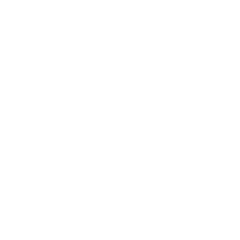 Supporting the Arts