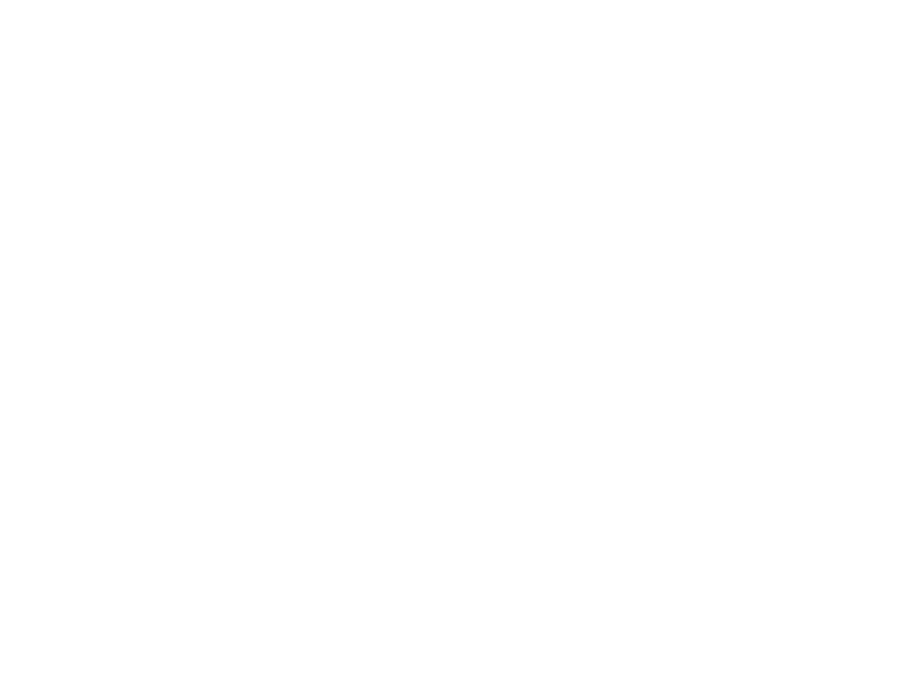 Supporting the Arts