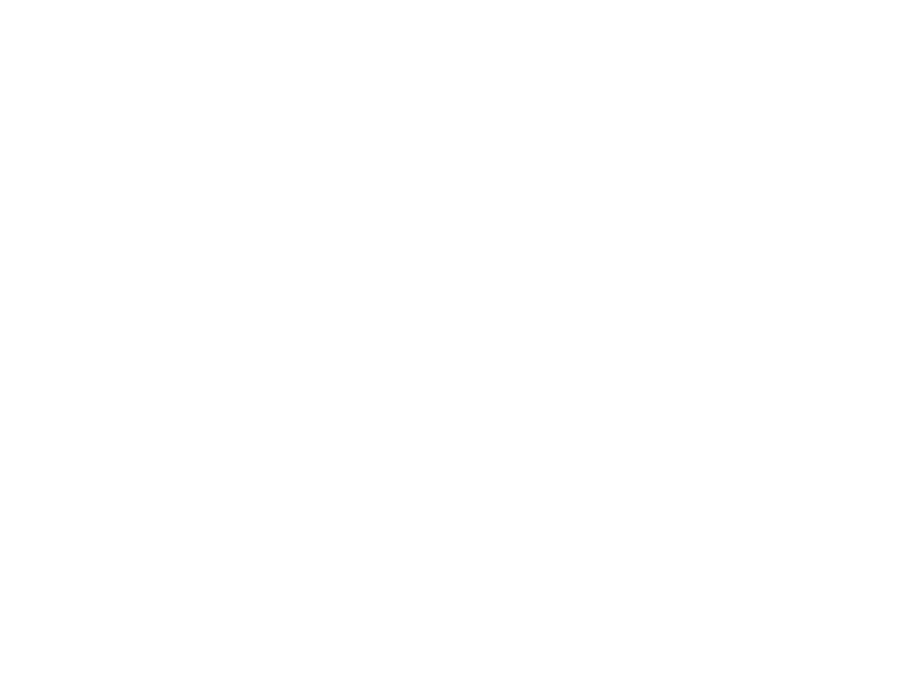 Supporting the Arts