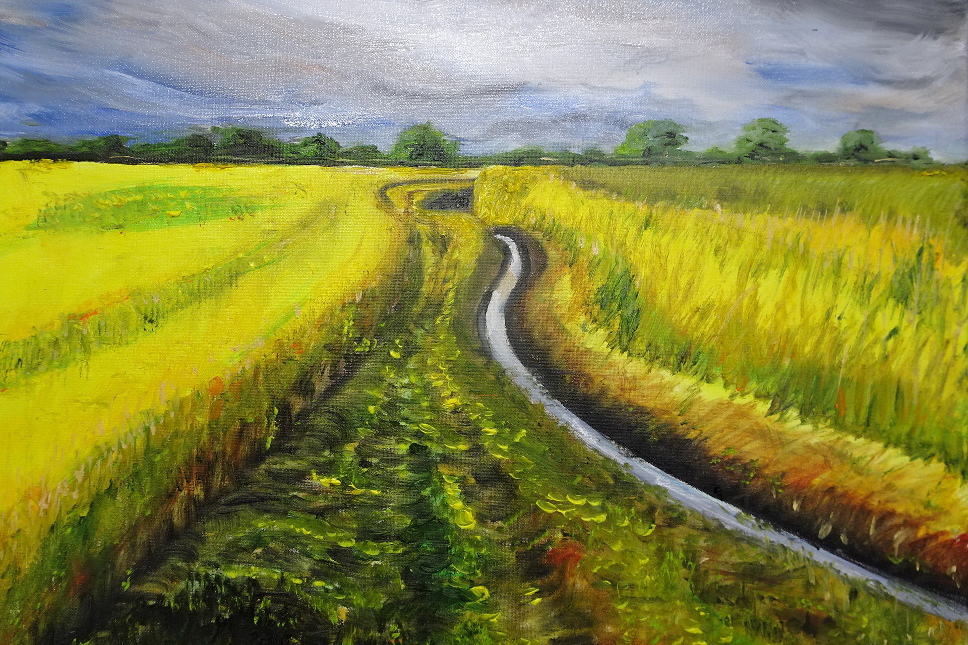 ‘’Ready to harvest ‘’Tim Bos, 2020, h 500 x w 600 Oil on stretched canvas The daily walk during this restricted period. Instagram: @timbos13