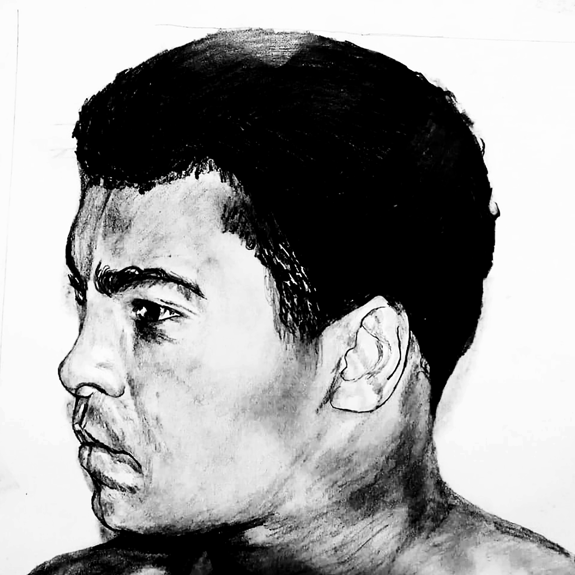 muhammad ali”, pencil, A4 Joe Hove