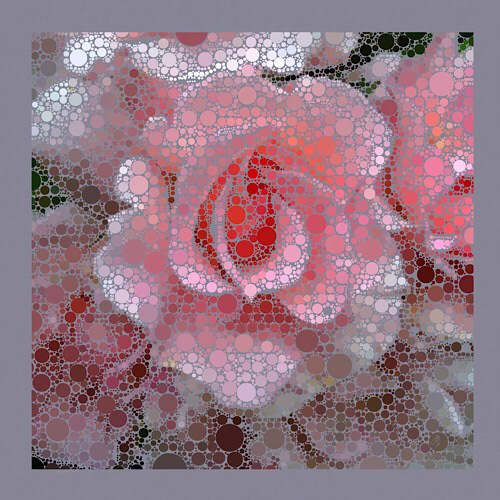 “Pink Roses” Jackie Burns, 2022 Acrylic on stretched canvas, 50.8 x 50.8 cm
