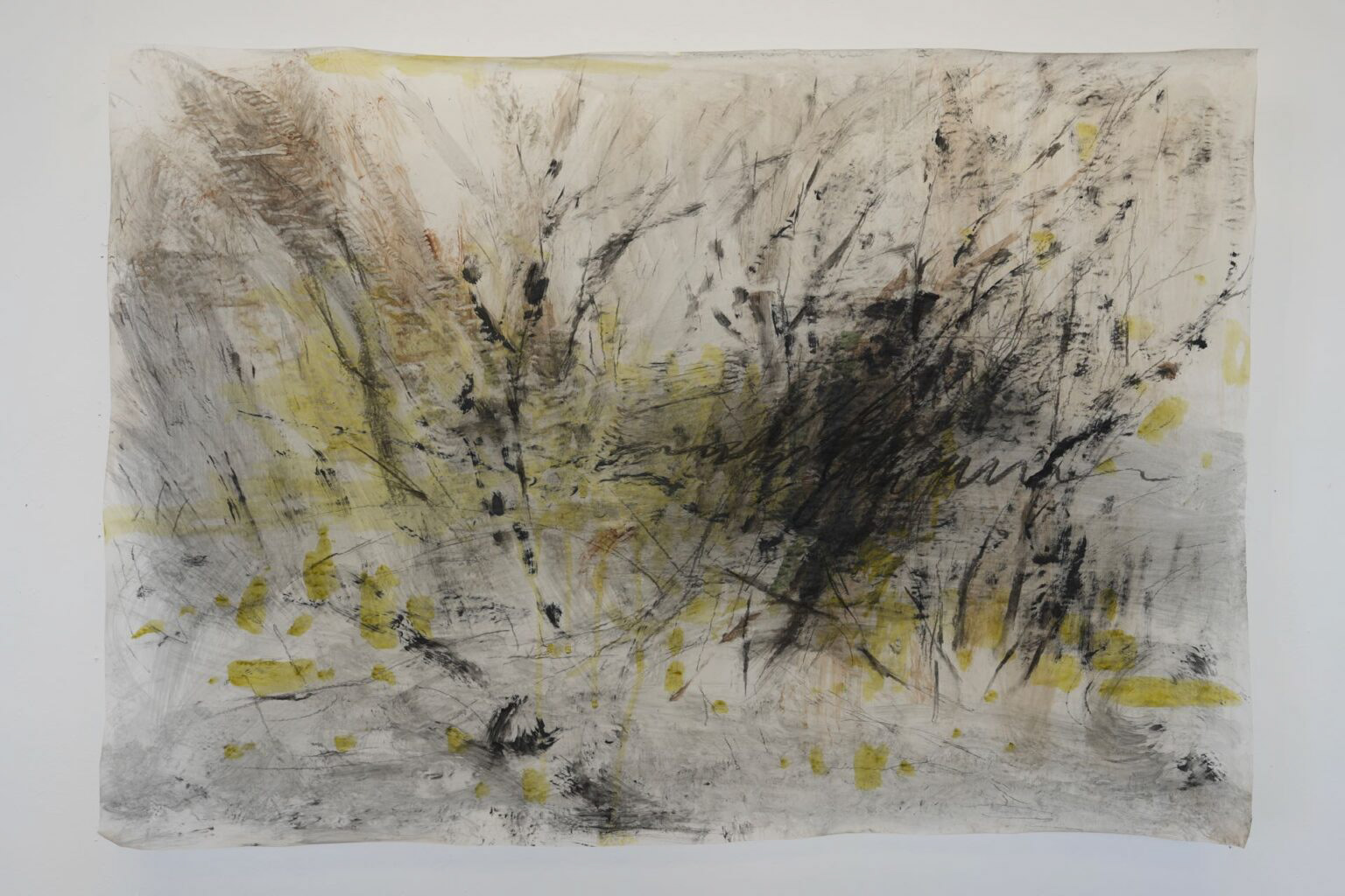 “Untitled I” Qianyi ZHU, Acrylic and Charcoal on Tracing paper, 59.4cm x 84.1cm, 2025 “This work develops through a process of layering marks on tracing paper, a material that has become central to my practice. Its transparency and fragility allow images to build gradually through repeated gestures staining, drawing, and rubbing pigment onto both sides of the surface. Light passes through the paper while marks accumulate, creating a shifting field where traces overlap and bleed into one another. A recurring motif in the work is a simplified tree-like structure. The form is repeated across the surface through acts of tracing and redrawing, sometimes following a previous version, sometimes guided only by memory. With each repetition the image subtly changes: branches bend, lines thicken or dissolve, and fragments disappear into smudged layers. Rather than representing a fixed object, the tree becomes a structure through which memory is tested, altered, and re-encountered. Through this process of repetition and variation, the work reflects a non-linear experience of time. Marks gather like sediment, and gestures remain visible as traces of their making. The image is not resolved into a single moment but unfolds as an accumulation of actions, where past and present iterations coexist within the same surface.”  2025.gsapostgradshowcase.net/qianyi-zhu-2
