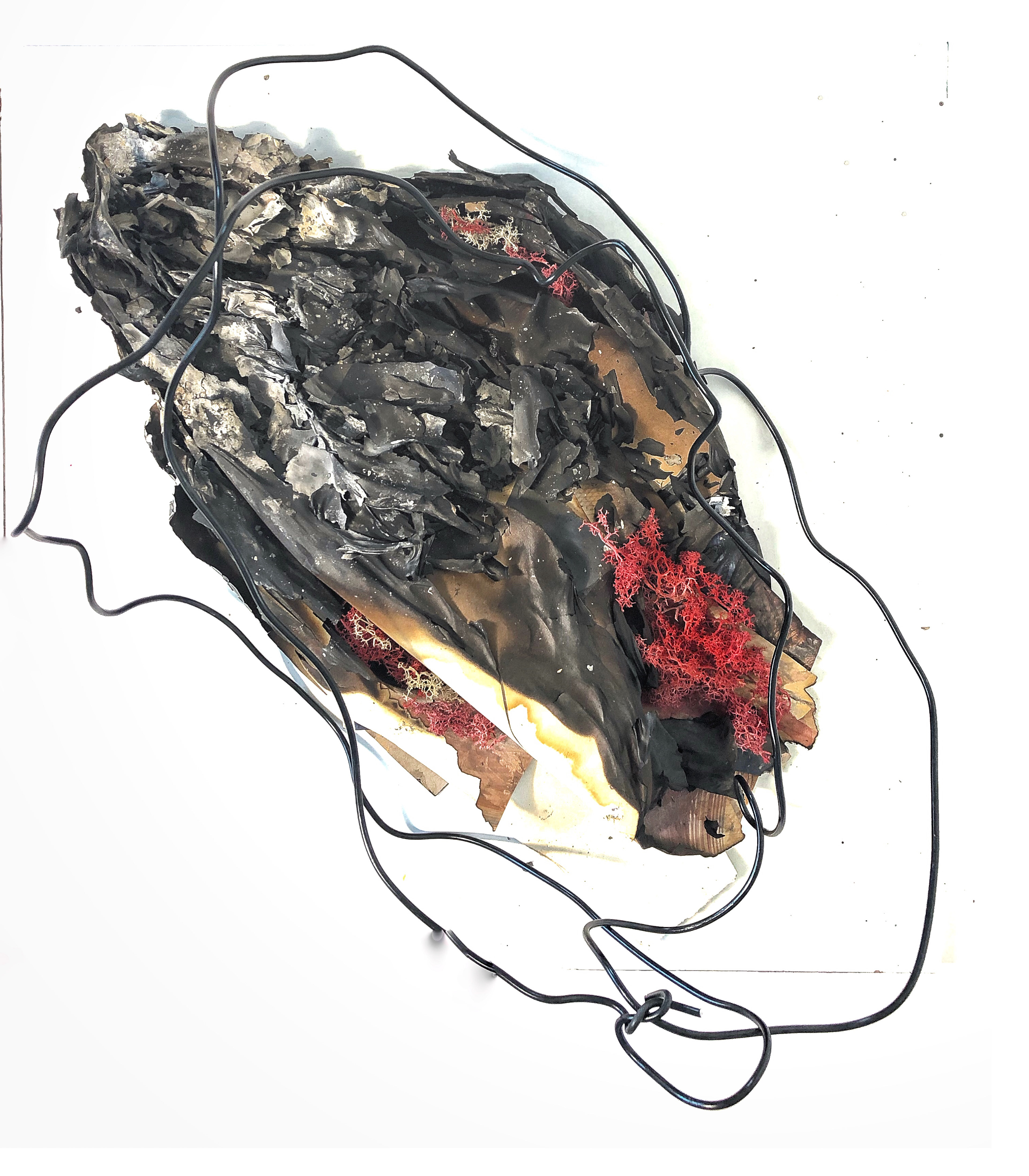 “Disappearing human”, Mixed media, wire, moss, 50/50cm Natalia Millman www.nataliamillmanart.com @nataliamillmanart As part of my new body of work I am exploring topics of mortality and ageing. This piece grew out of natural process of burning my old piece and creating something new. To look into destroyed doesn’t mean not to see the beauty. It also symbolises the end of human life and the notion of transformation.