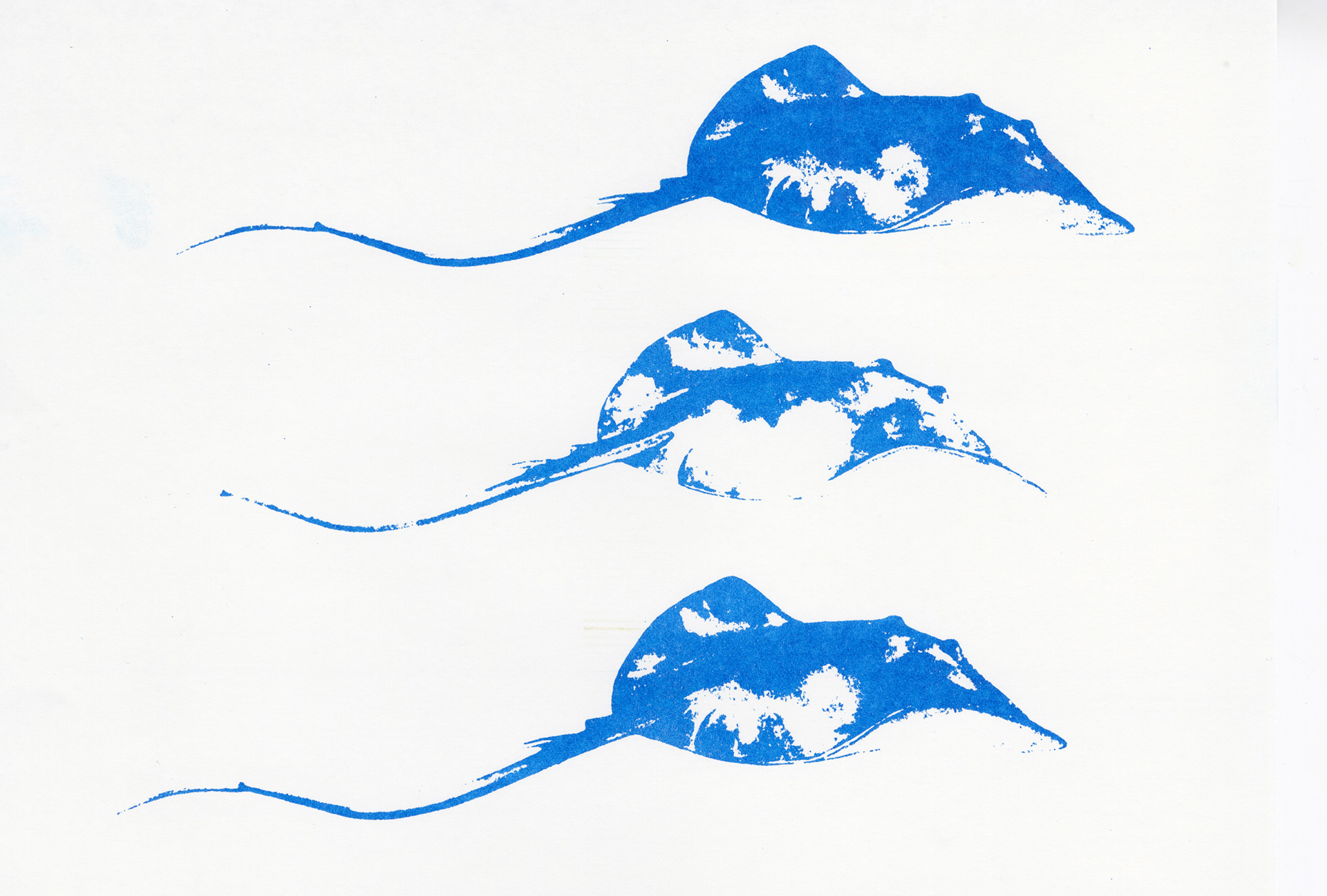 Stingrays (risograph), 2020