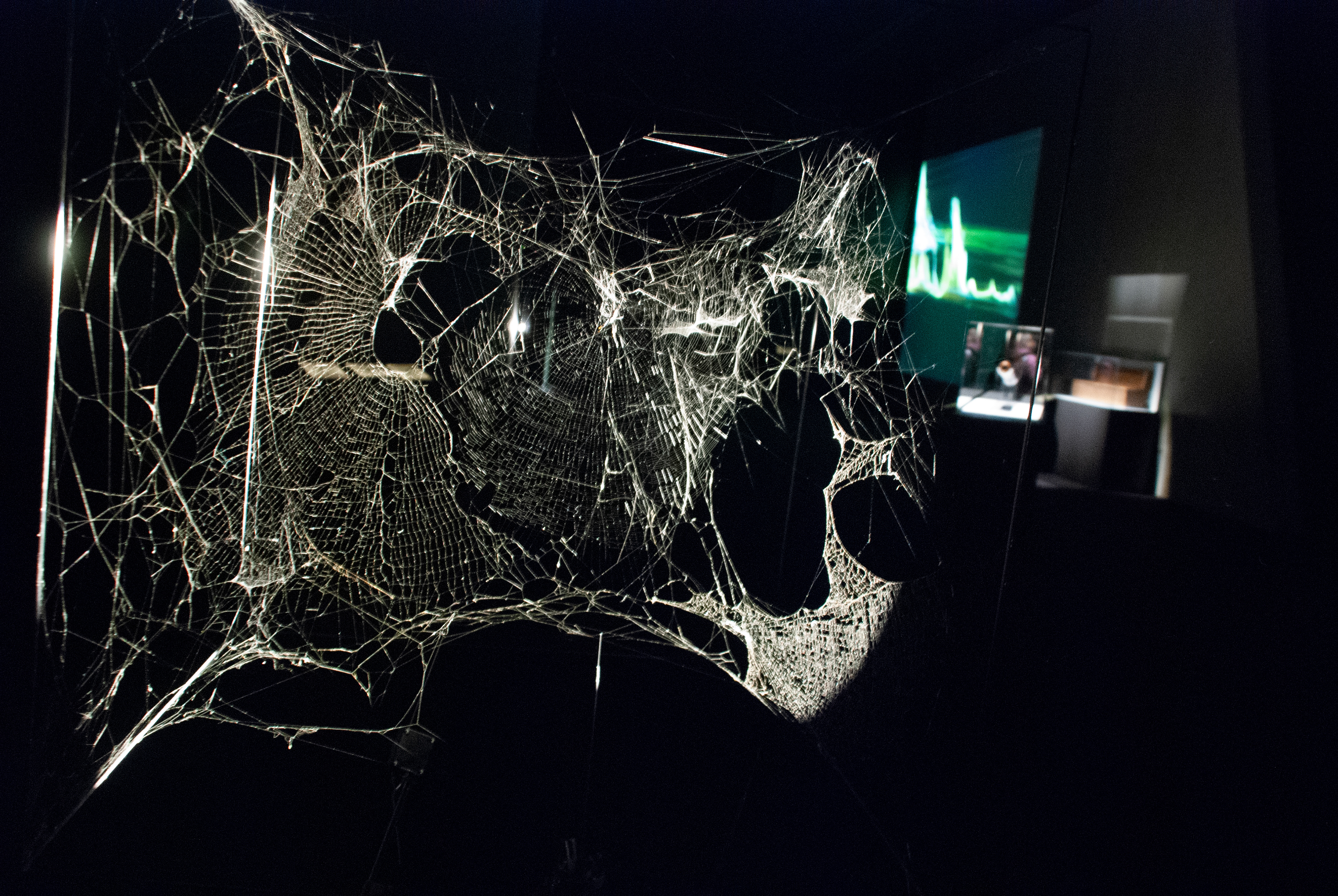 MAXXI - National Museum of 21st Century Art