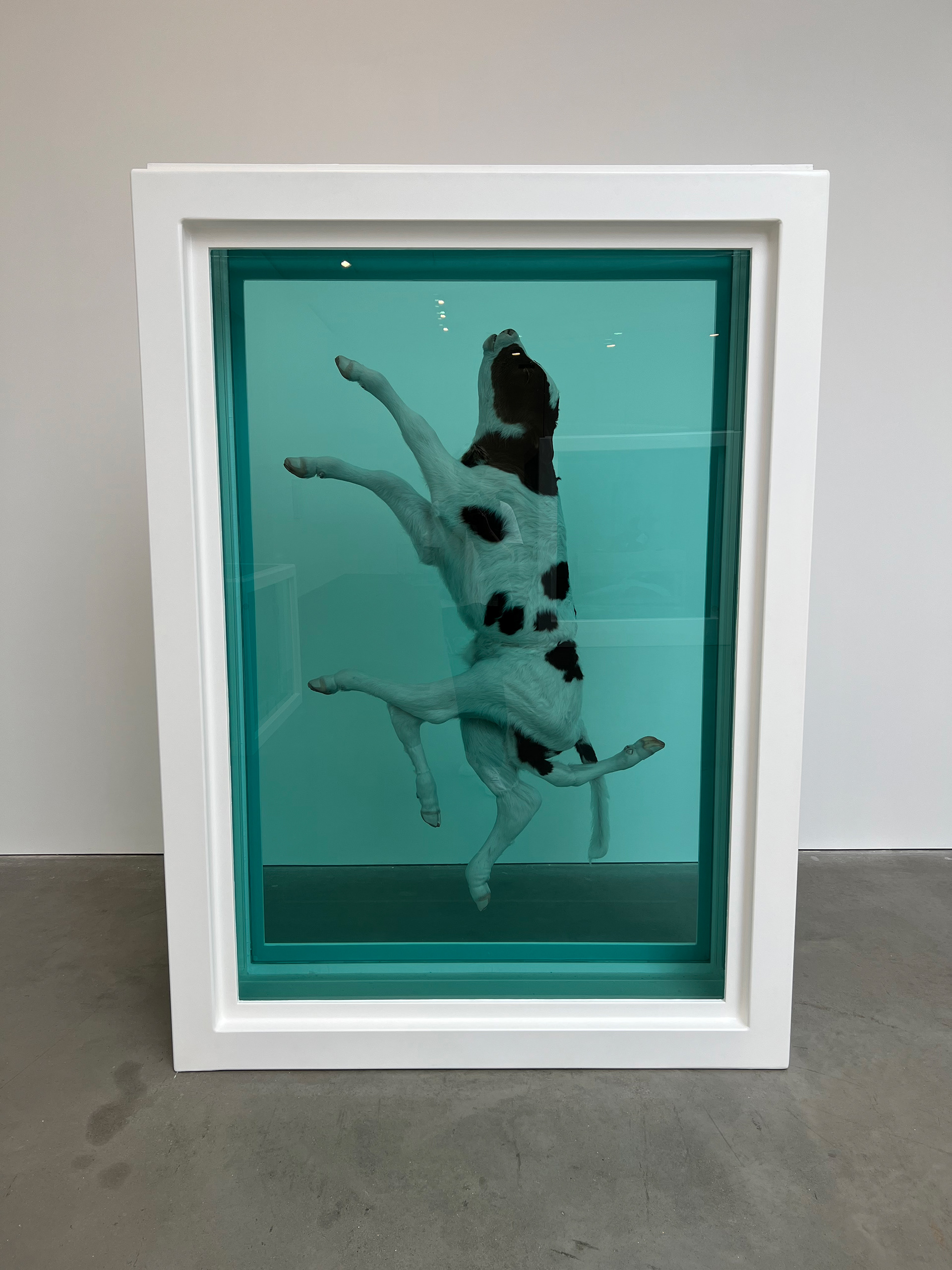 The Ascension, 2003