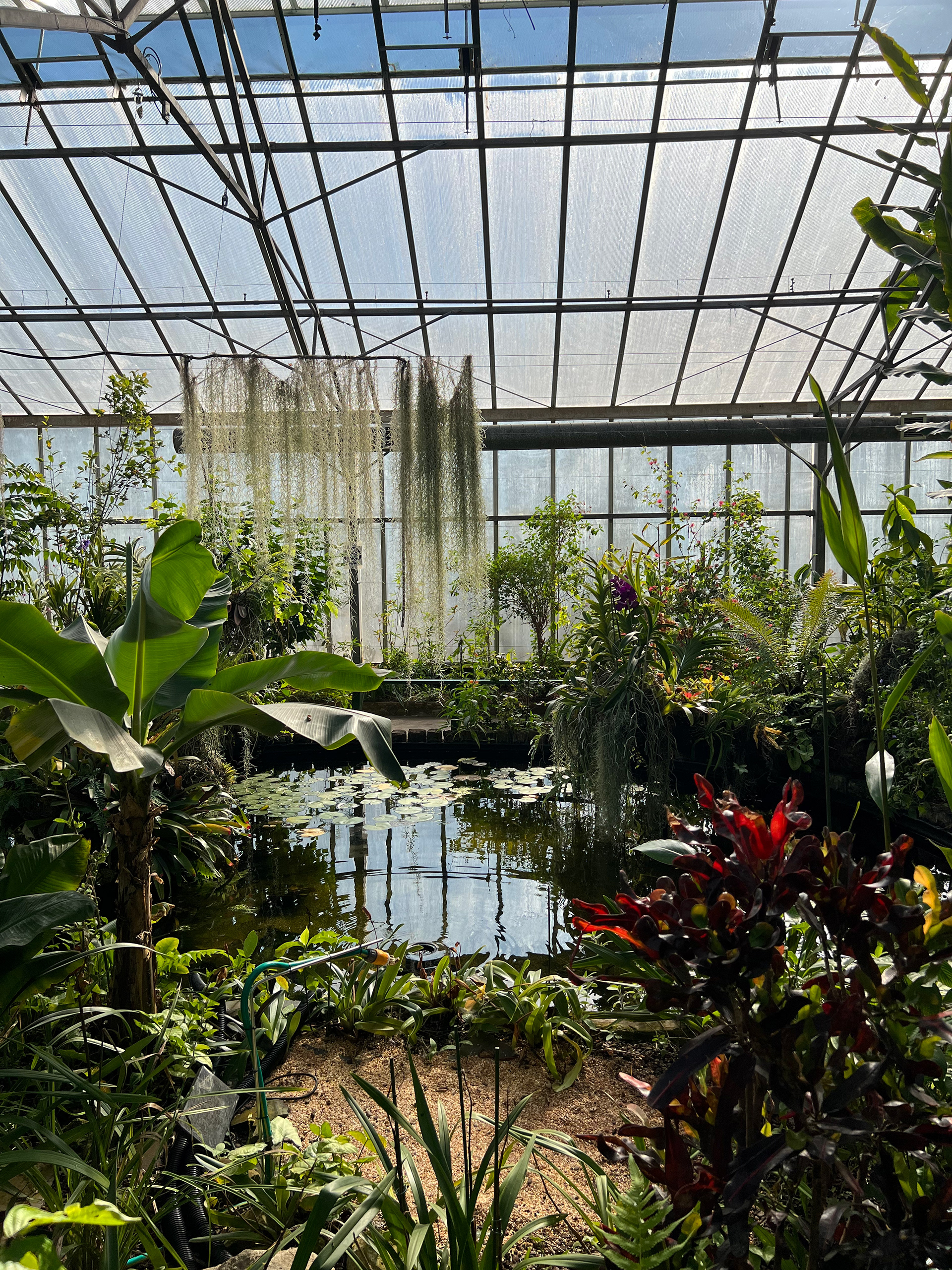Butterfly Sanctuary, 2022