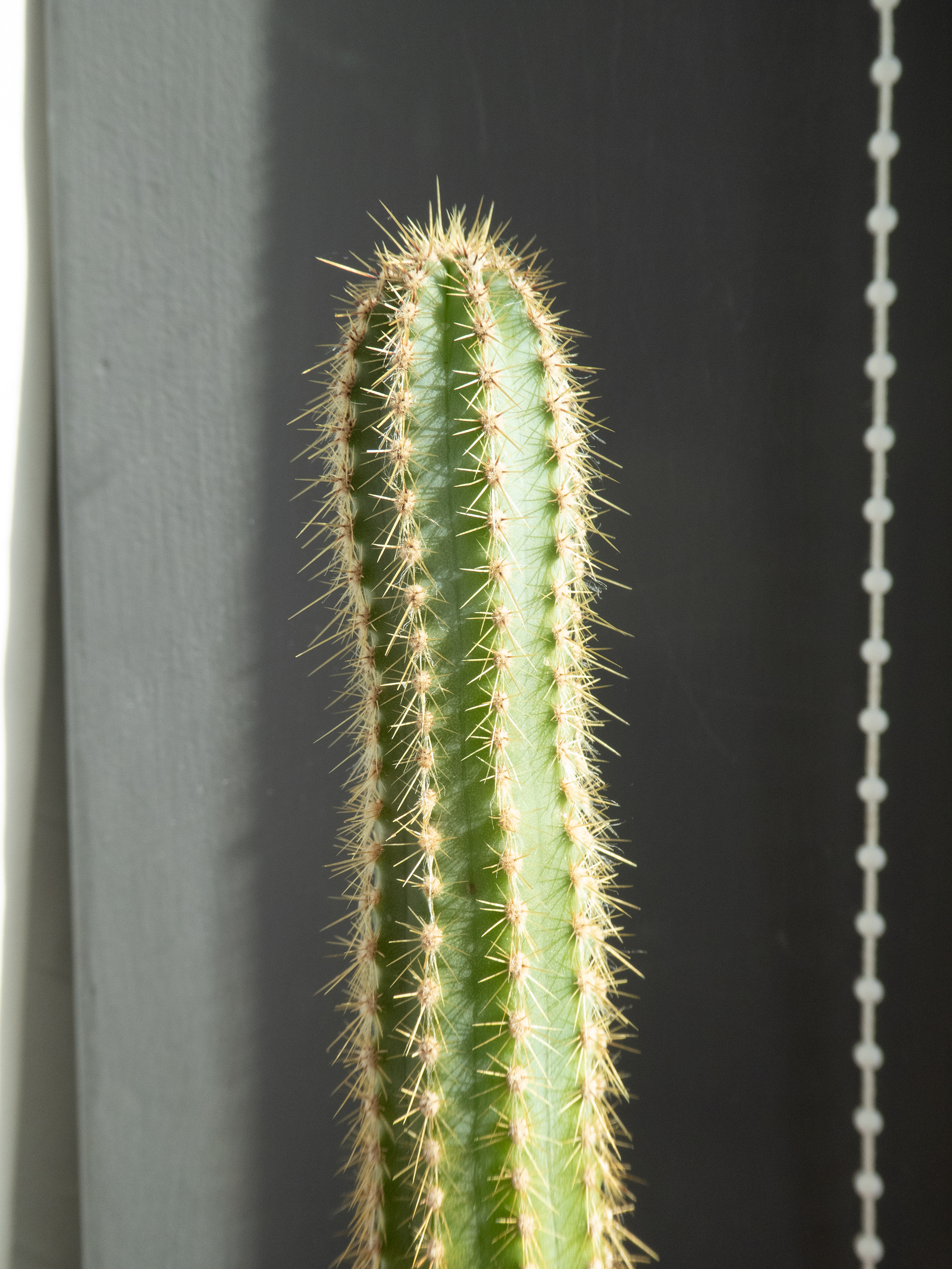 Spike