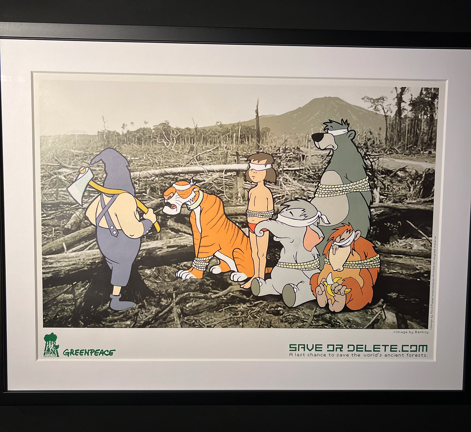 "Save or Delete Greenpeace" 2002