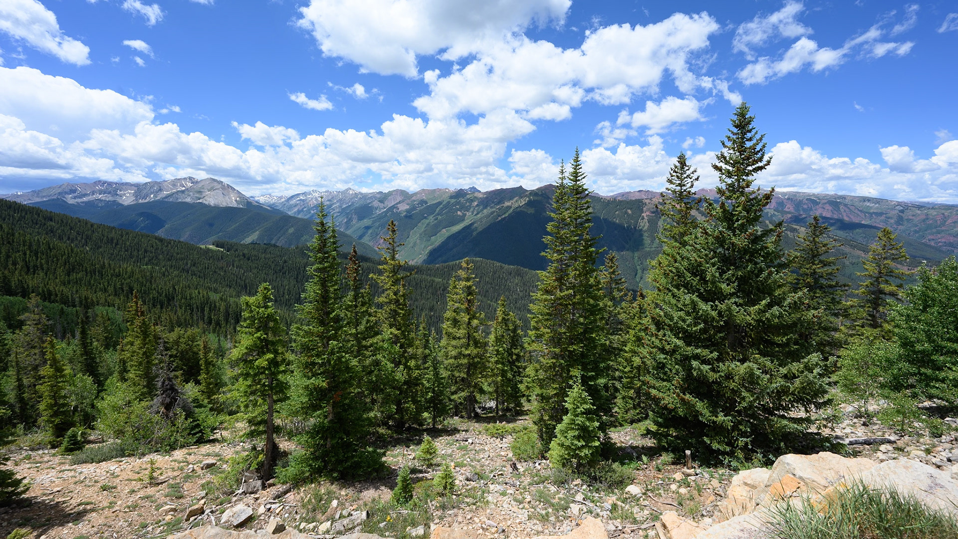 View from the summit of Mount Aspen at 11,200 feet, overlooking Colorado’s Elk Mountains on June 26, 2026.