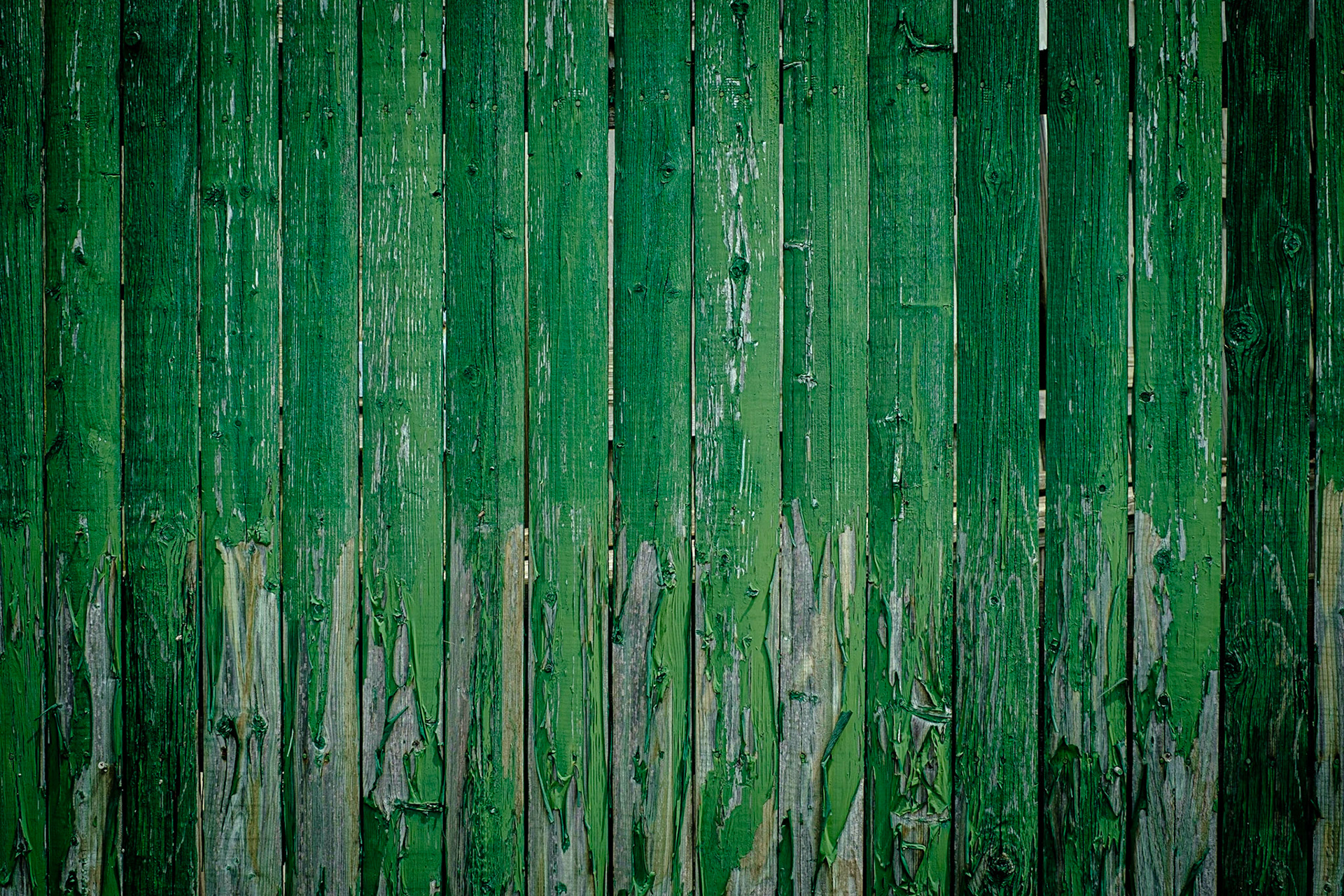 Dinosaur Fence