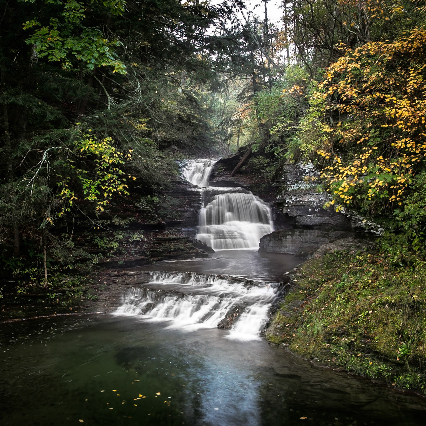 mill falls