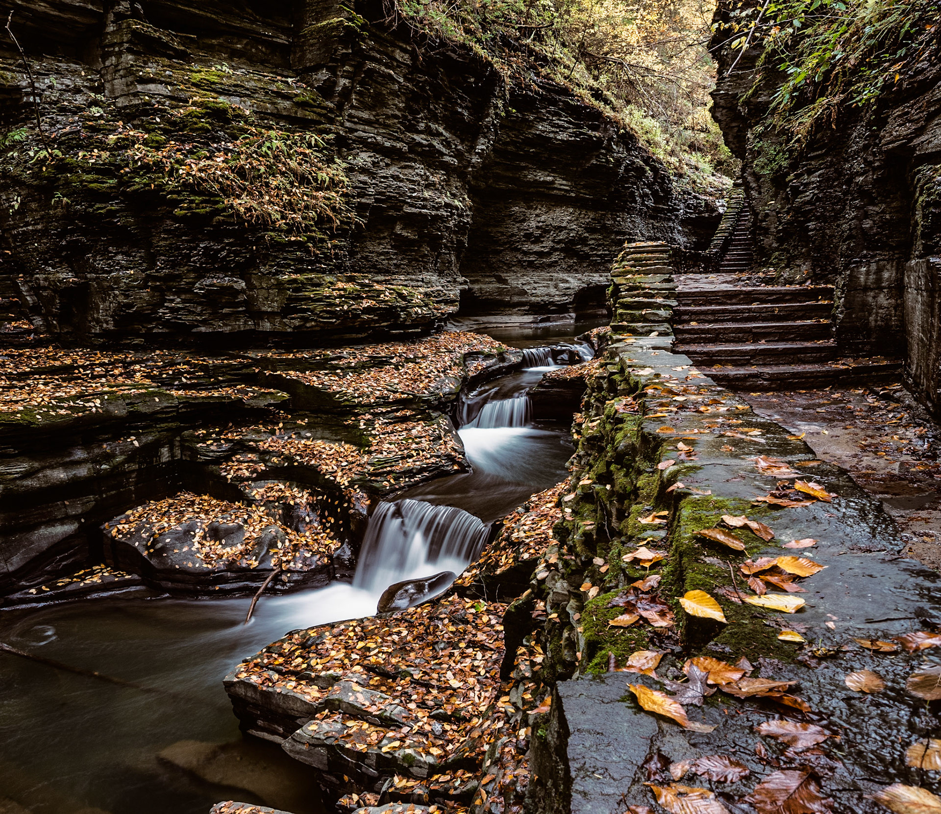 watkins glen