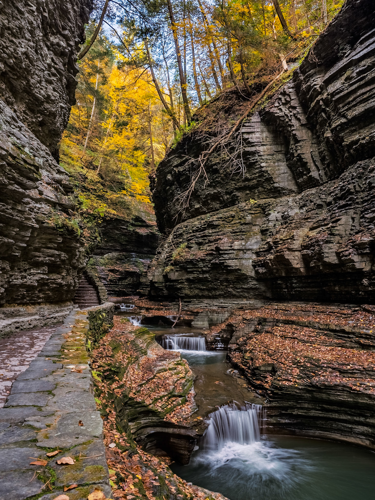 watkins glen again