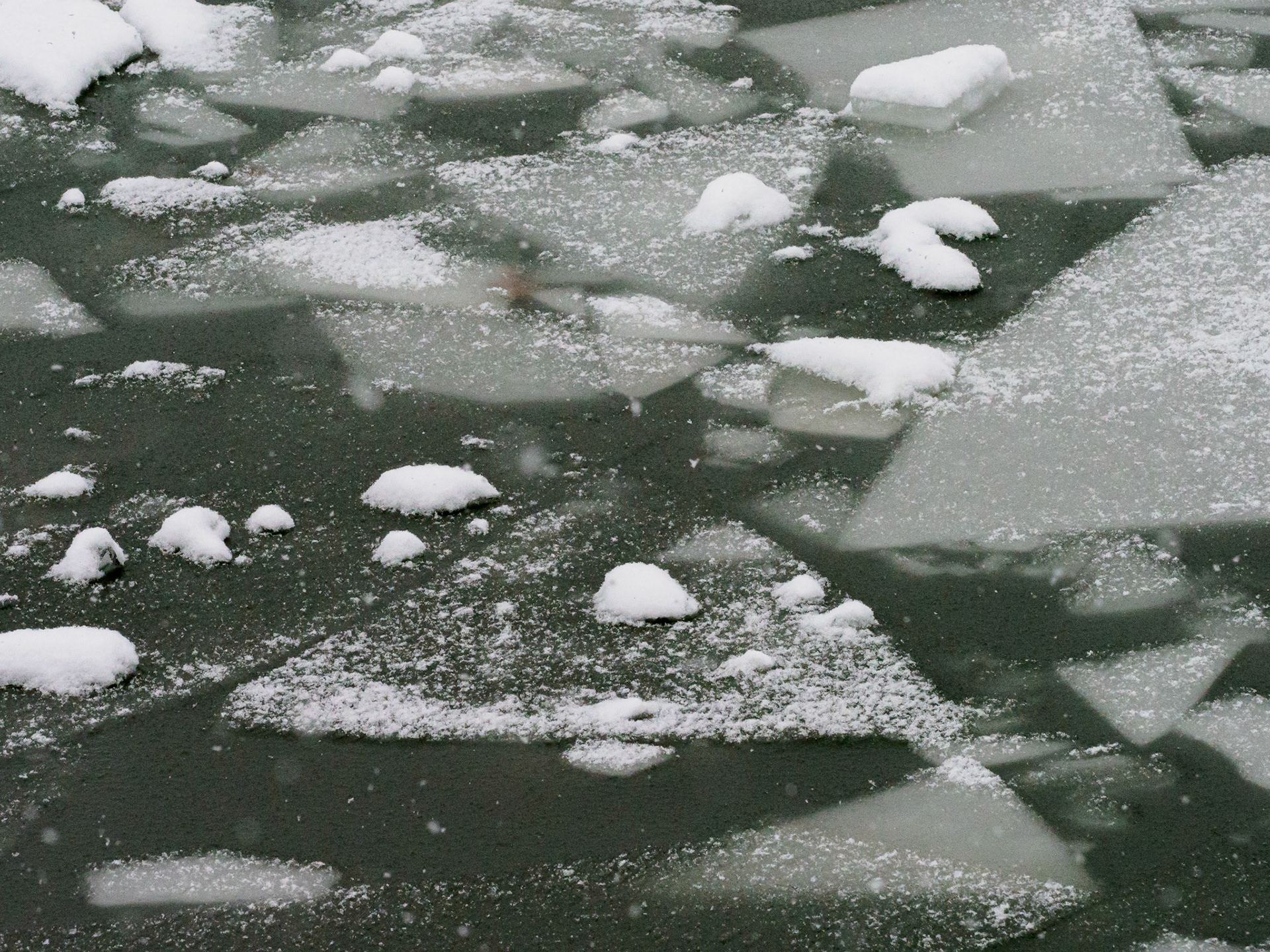 Genesee River Ice