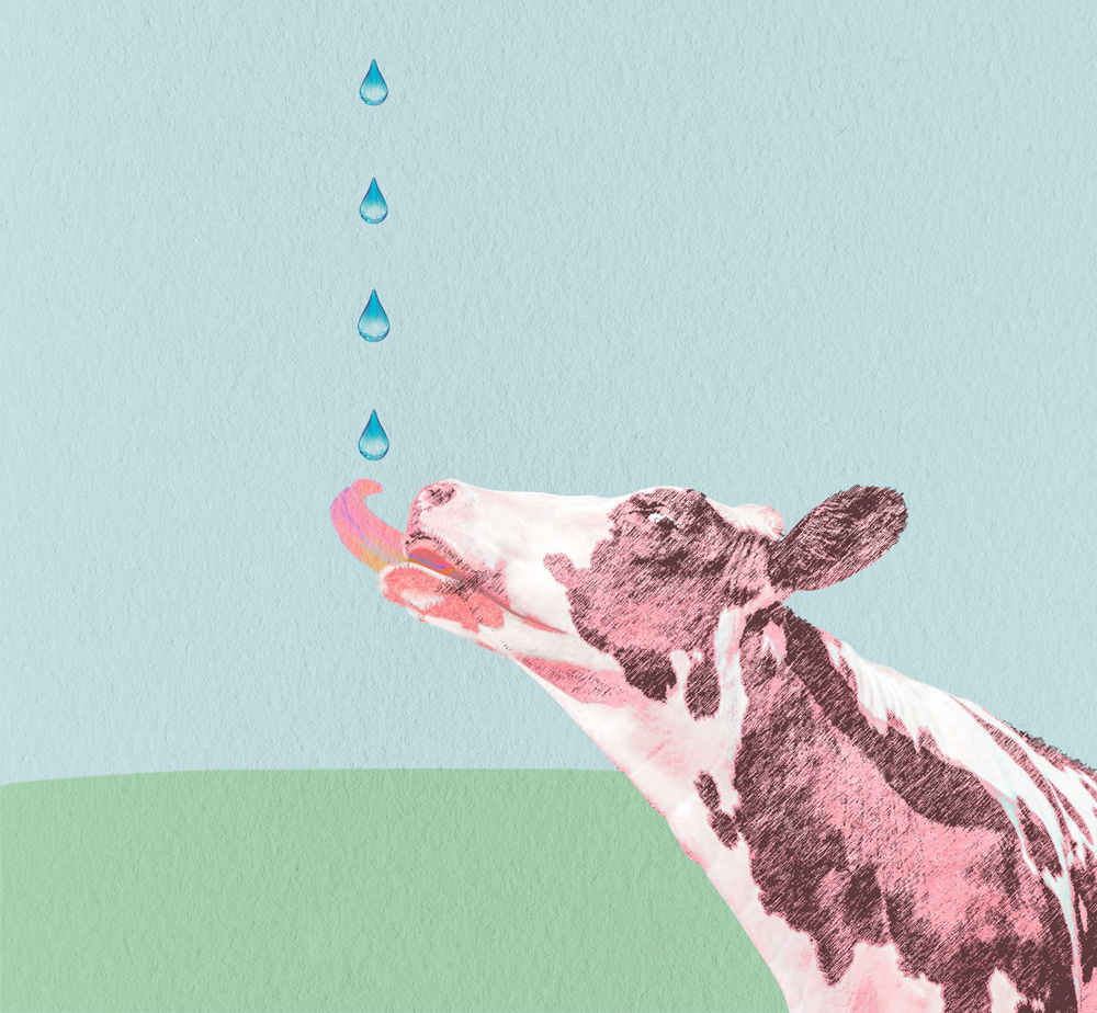 Sobre el problema del agua