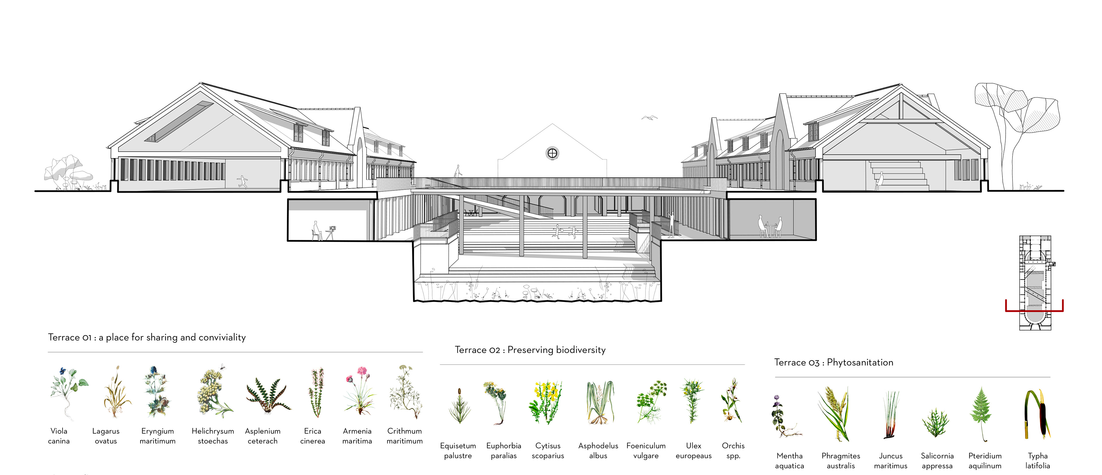Halles pénitentiaires - Coupe - Groundscape