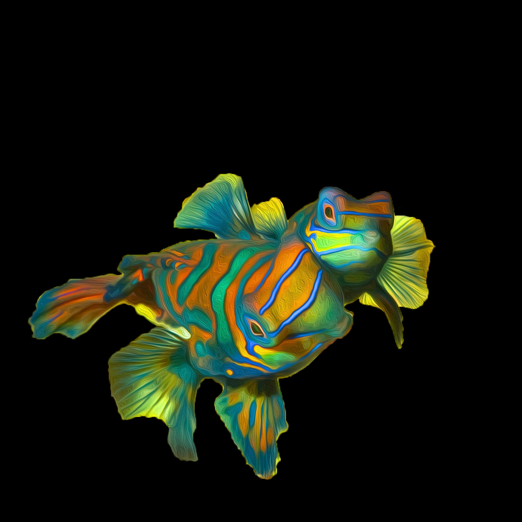 Mandarin Dragonet #1