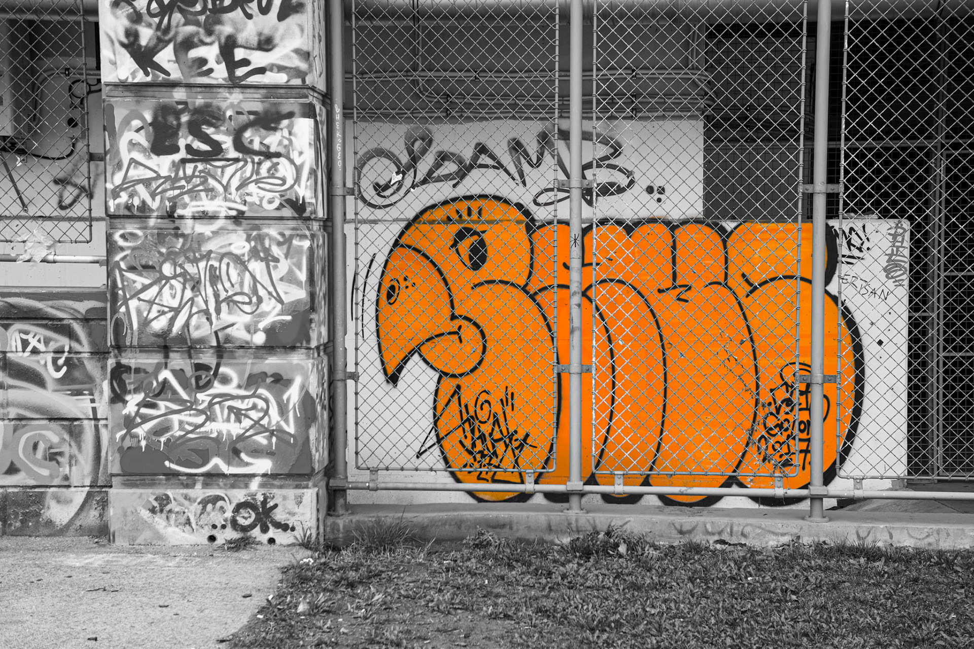 Tweet